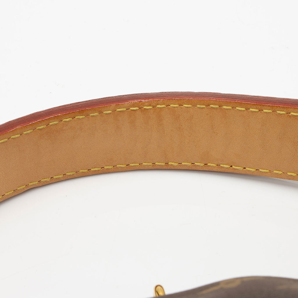 Louis Vuitton Monogram Canvas Berri PM Shoulder Bag