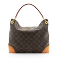 Louis Vuitton Monogram Canvas Berri PM Shoulder Bag