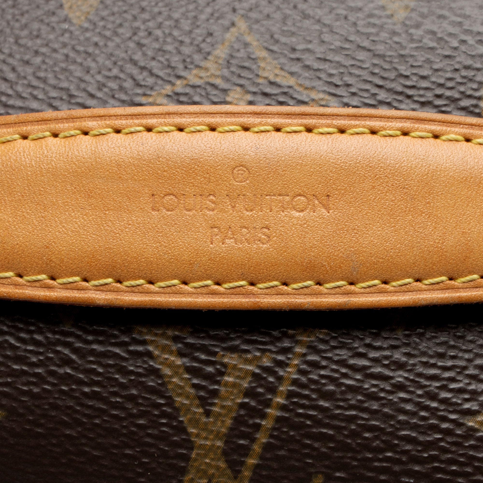 Louis Vuitton Monogram Canvas Bumbag (SHF-S8BZZN)