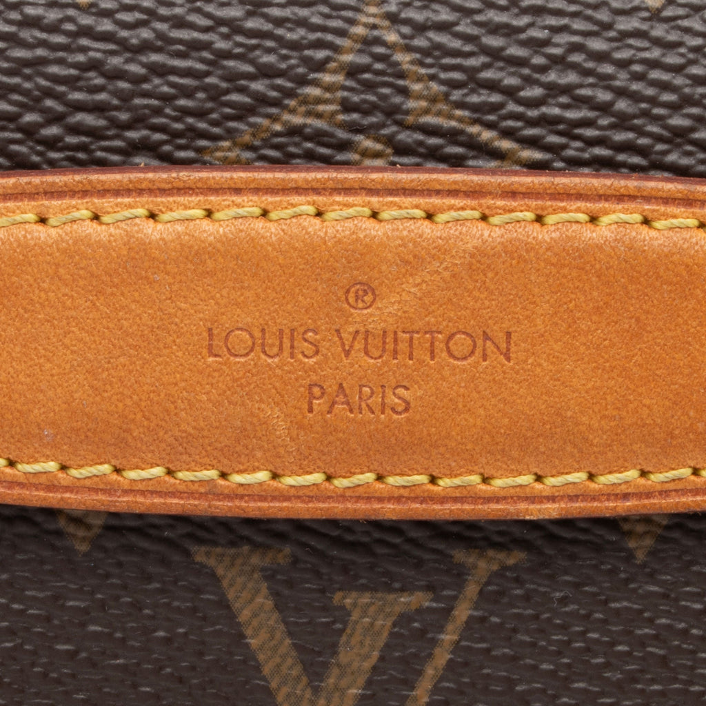 Louis Vuitton Monogram Canvas Bumbag (SHF-BfWtHC)