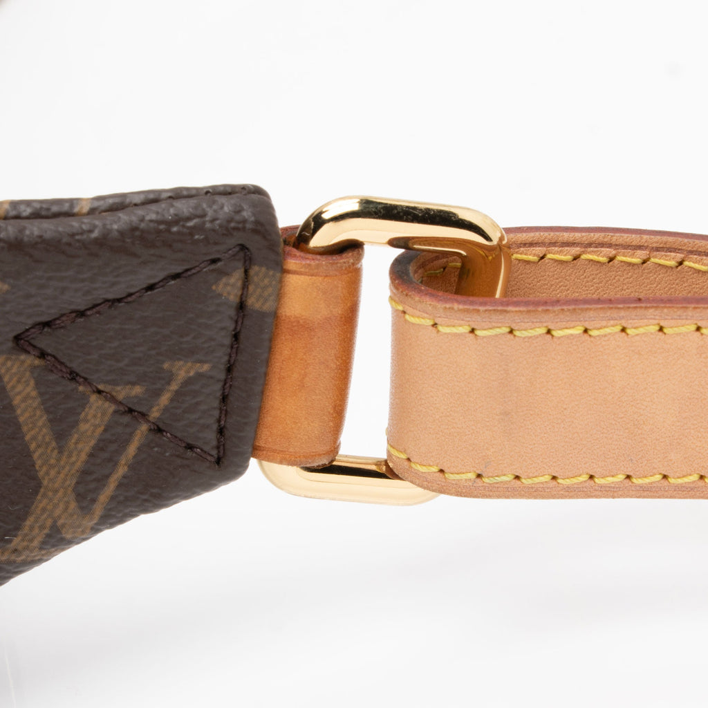 Louis Vuitton Monogram Canvas Bumbag (SHF-BfWtHC)