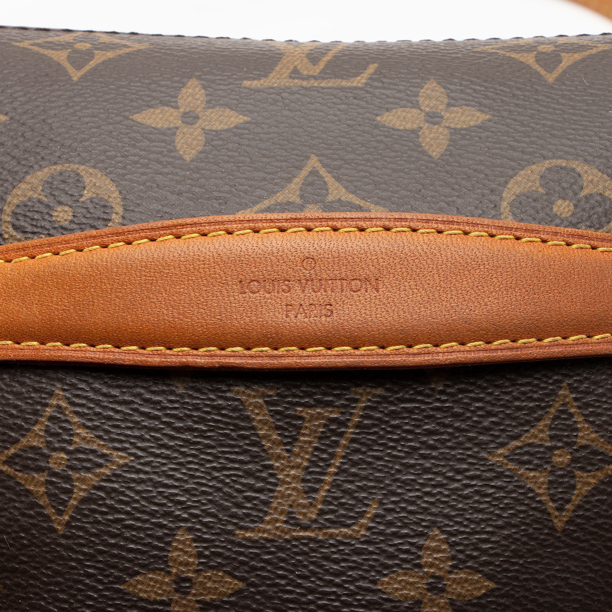 Louis Vuitton Monogram Canvas Bumbag (SHF-nLrjfi)