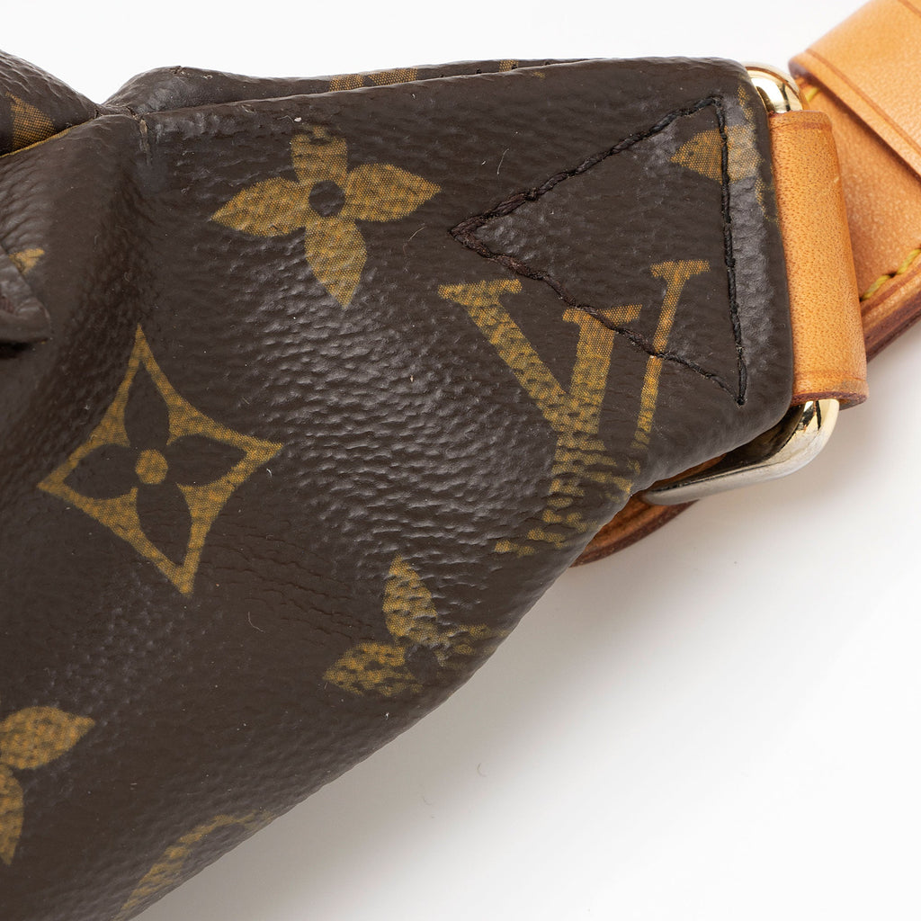 Louis Vuitton Monogram Canvas Bumbag (SHF-nLrjfi)