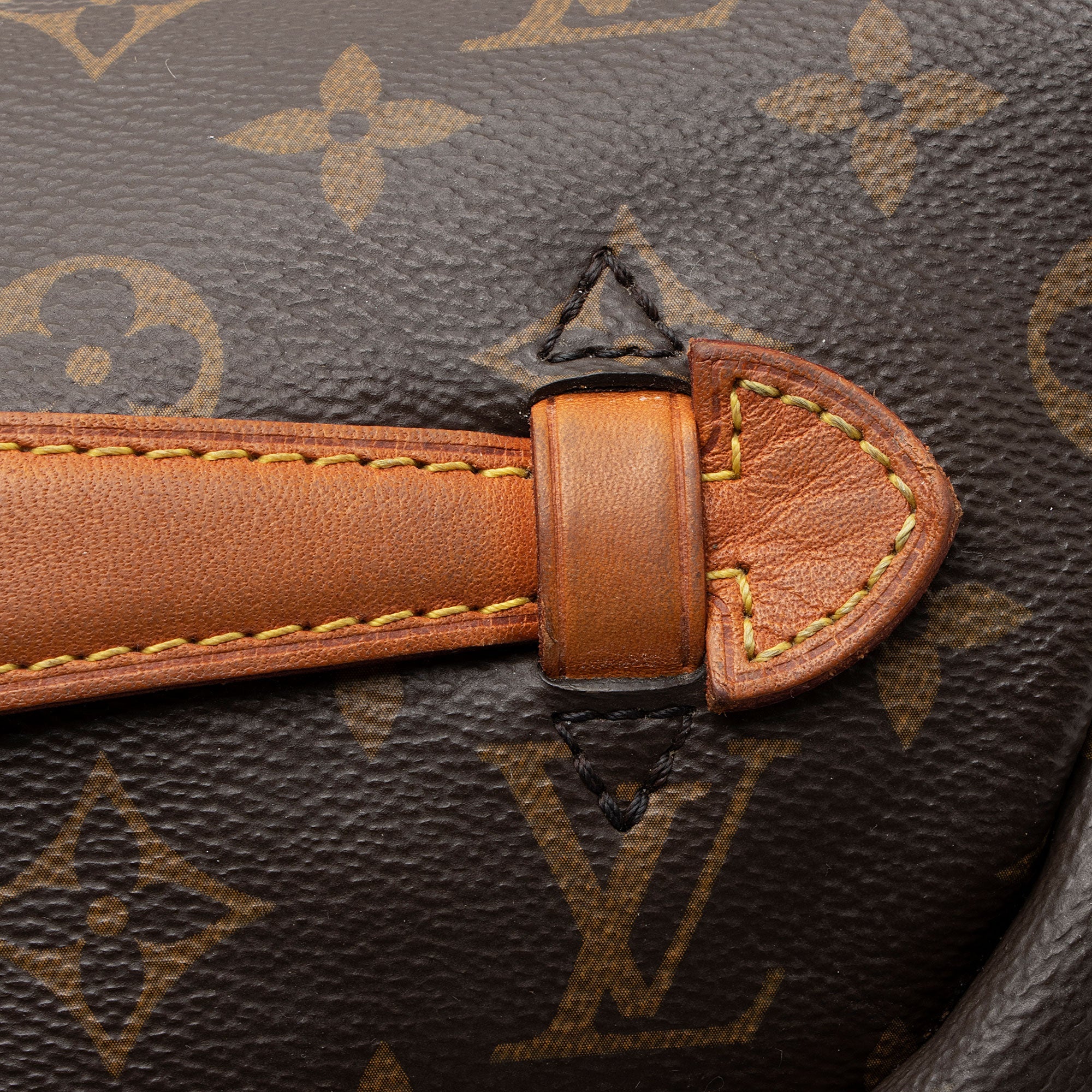 Louis Vuitton Monogram Canvas Bumbag (SHF-nLrjfi)