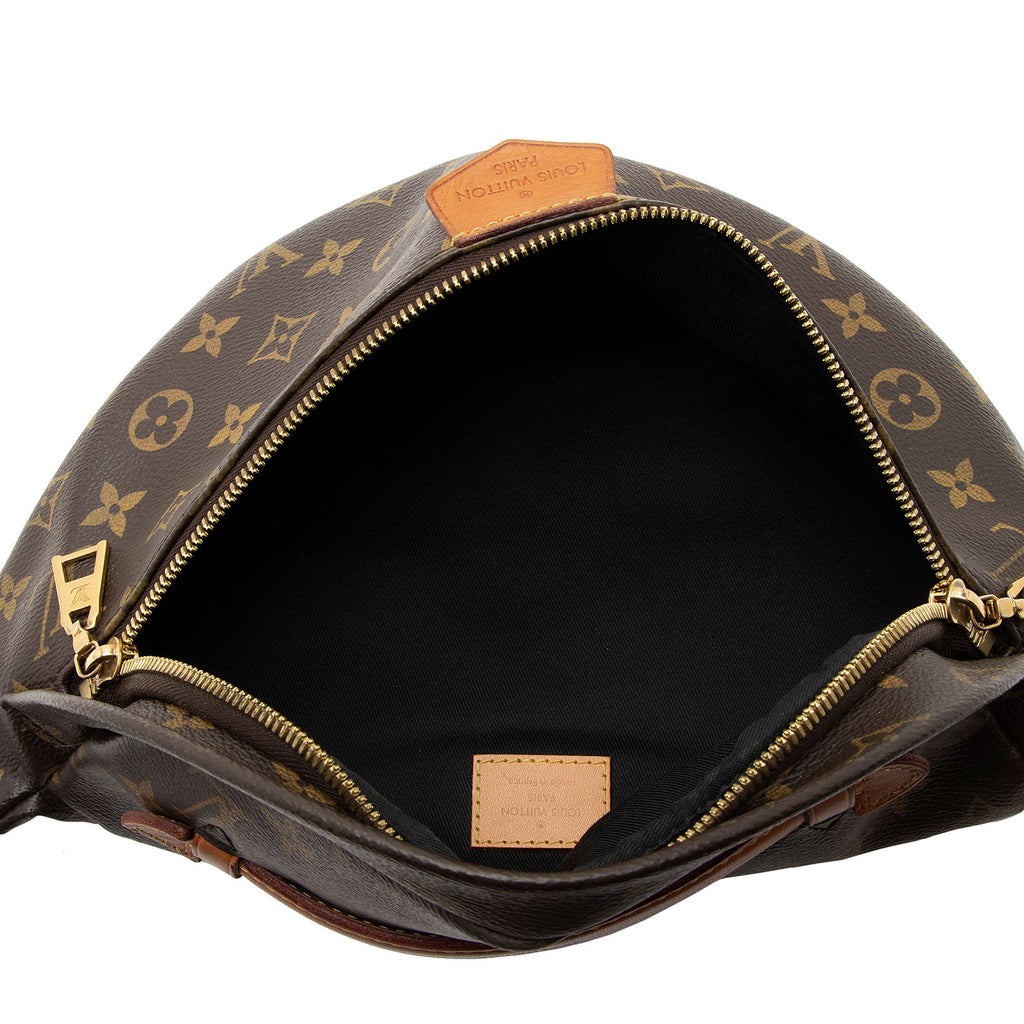 Louis Vuitton Monogram Canvas Bumbag (SHF-nLrjfi)