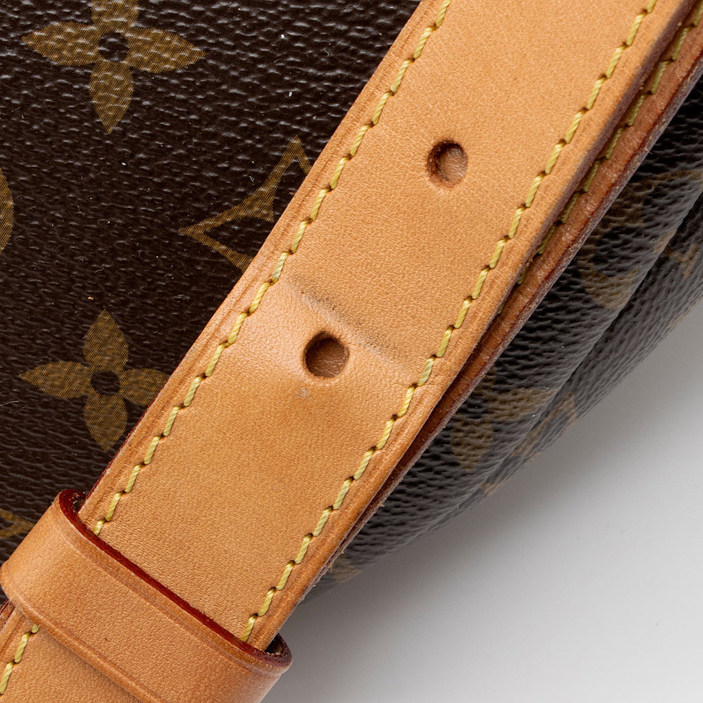 Louis Vuitton Monogram Canvas Bumbag