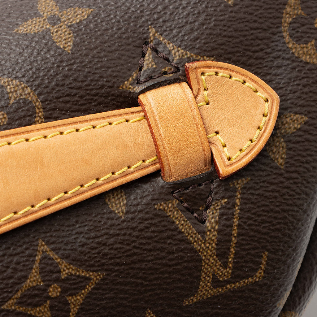 Louis Vuitton Monogram Canvas Bumbag