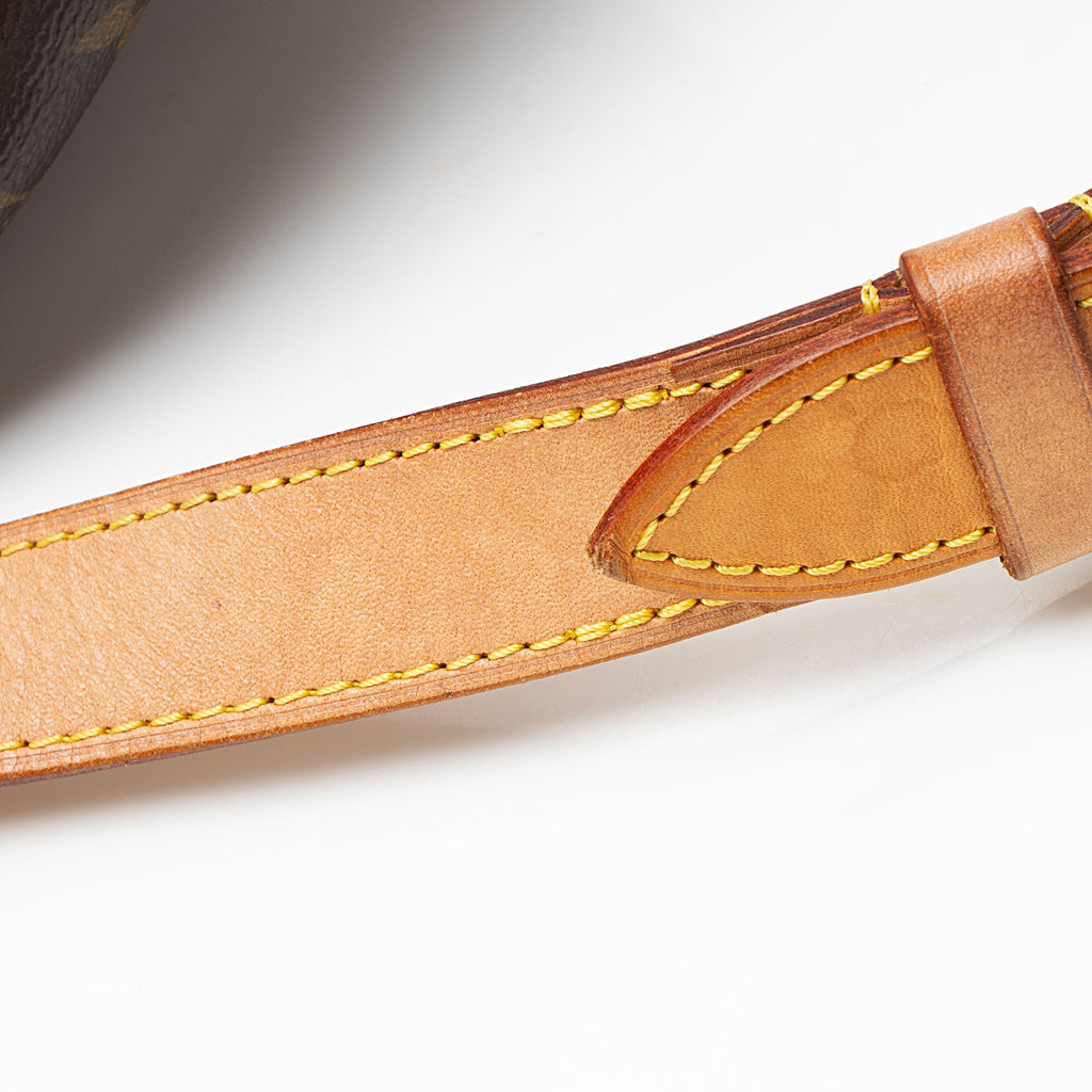 Louis Vuitton Monogram Canvas Bumbag