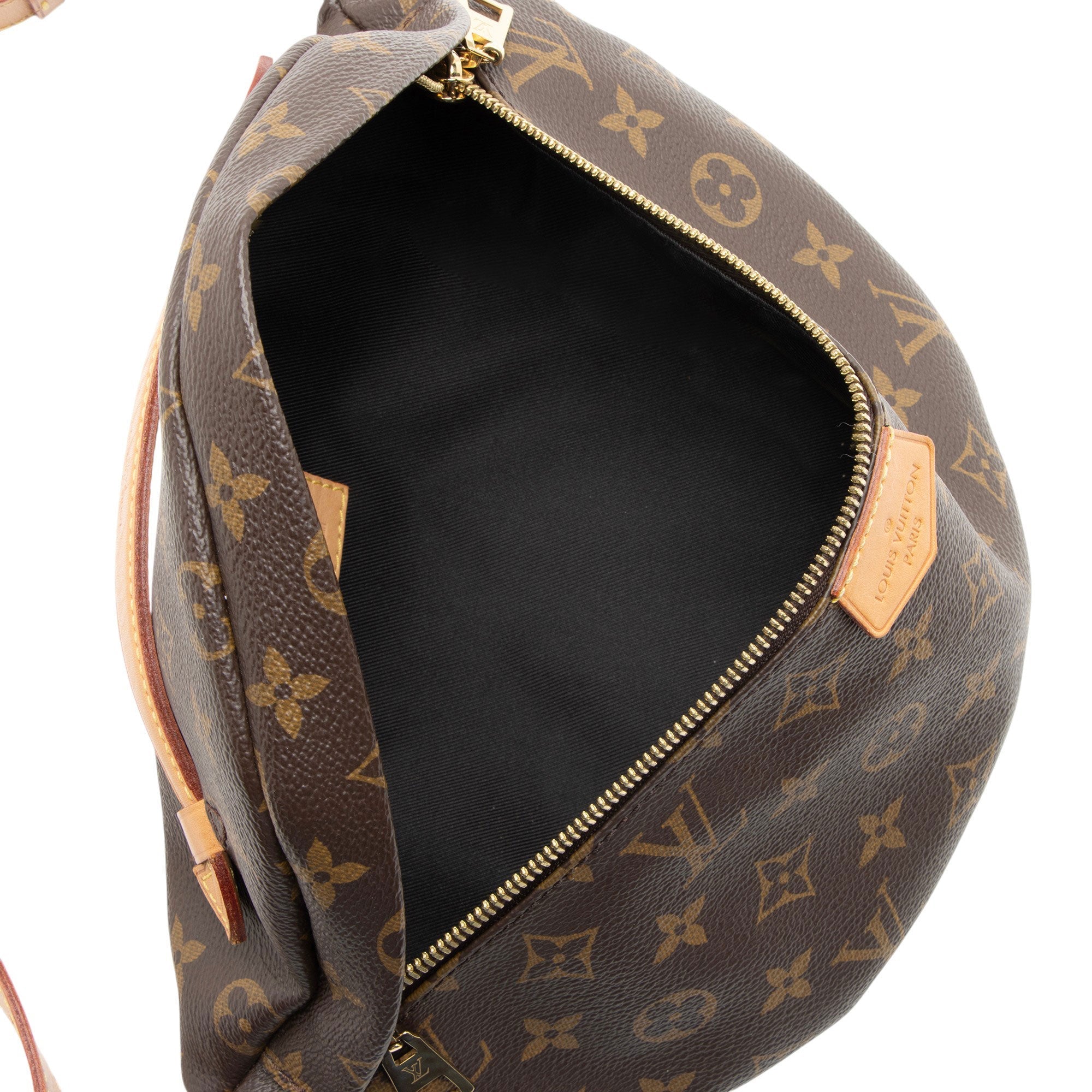 Louis Vuitton Monogram Canvas Bumbag