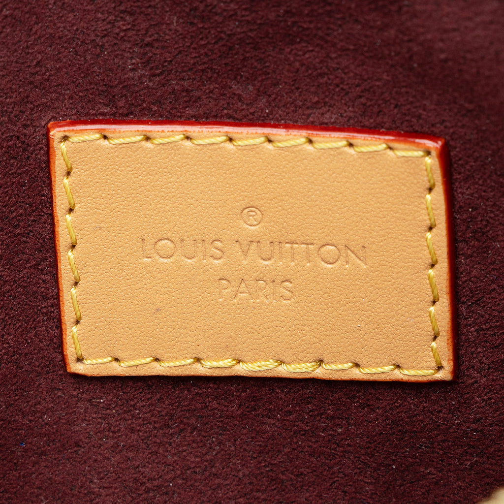 Louis Vuitton Monogram Canvas CarryAll PM Pochette