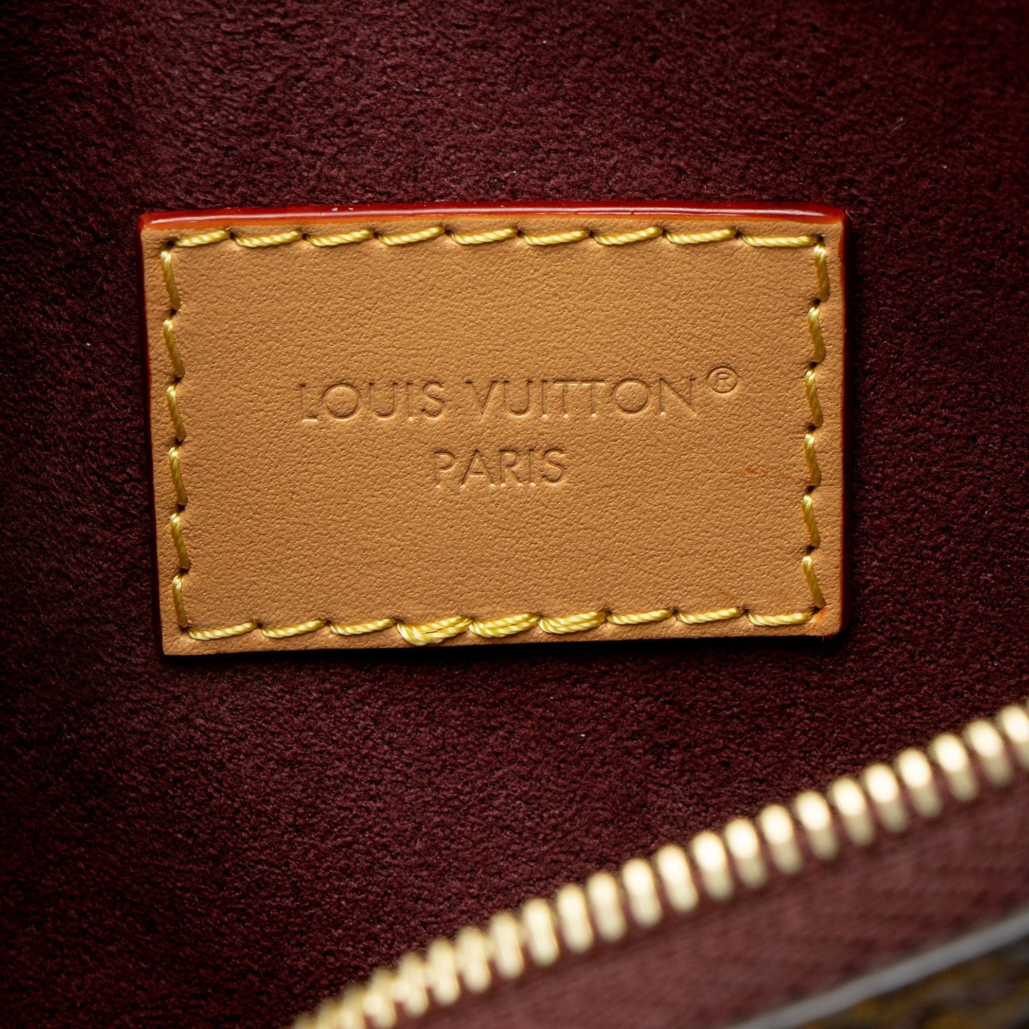Louis Vuitton Monogram Canvas CarryAll PM Pochette