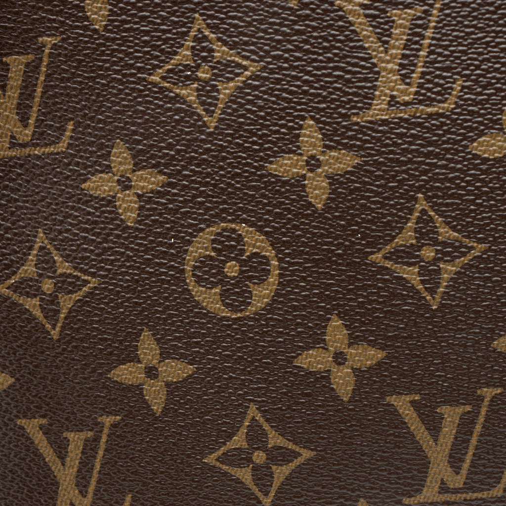 Louis Vuitton Monogram Canvas Daily Pouch