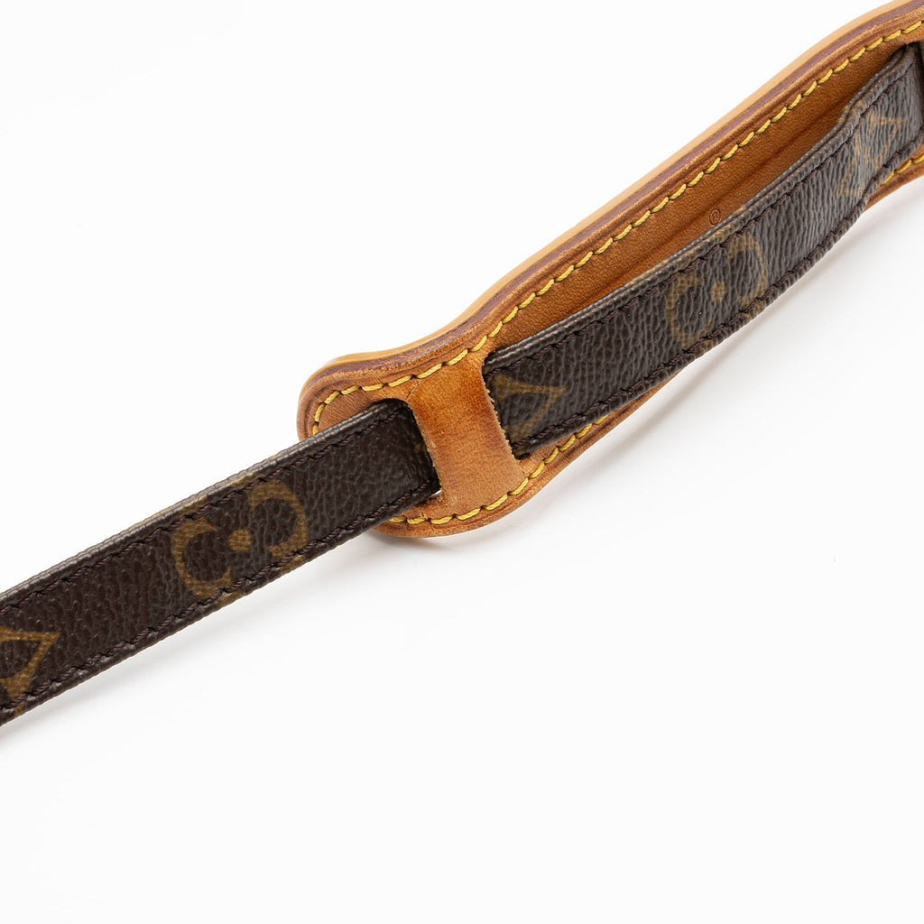 Louis Vuitton Monogram Canvas Danube Shoulder Bag