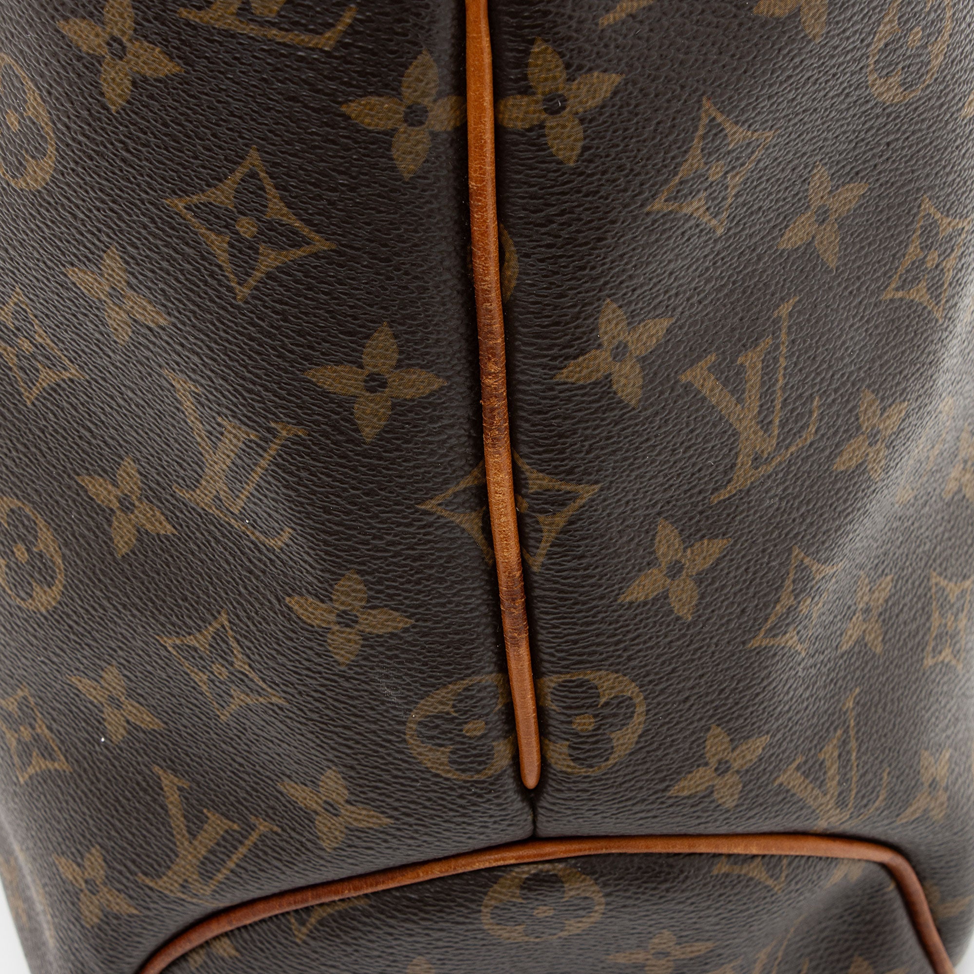Louis Vuitton Monogram Canvas Delightful GM Shoulder Bag
