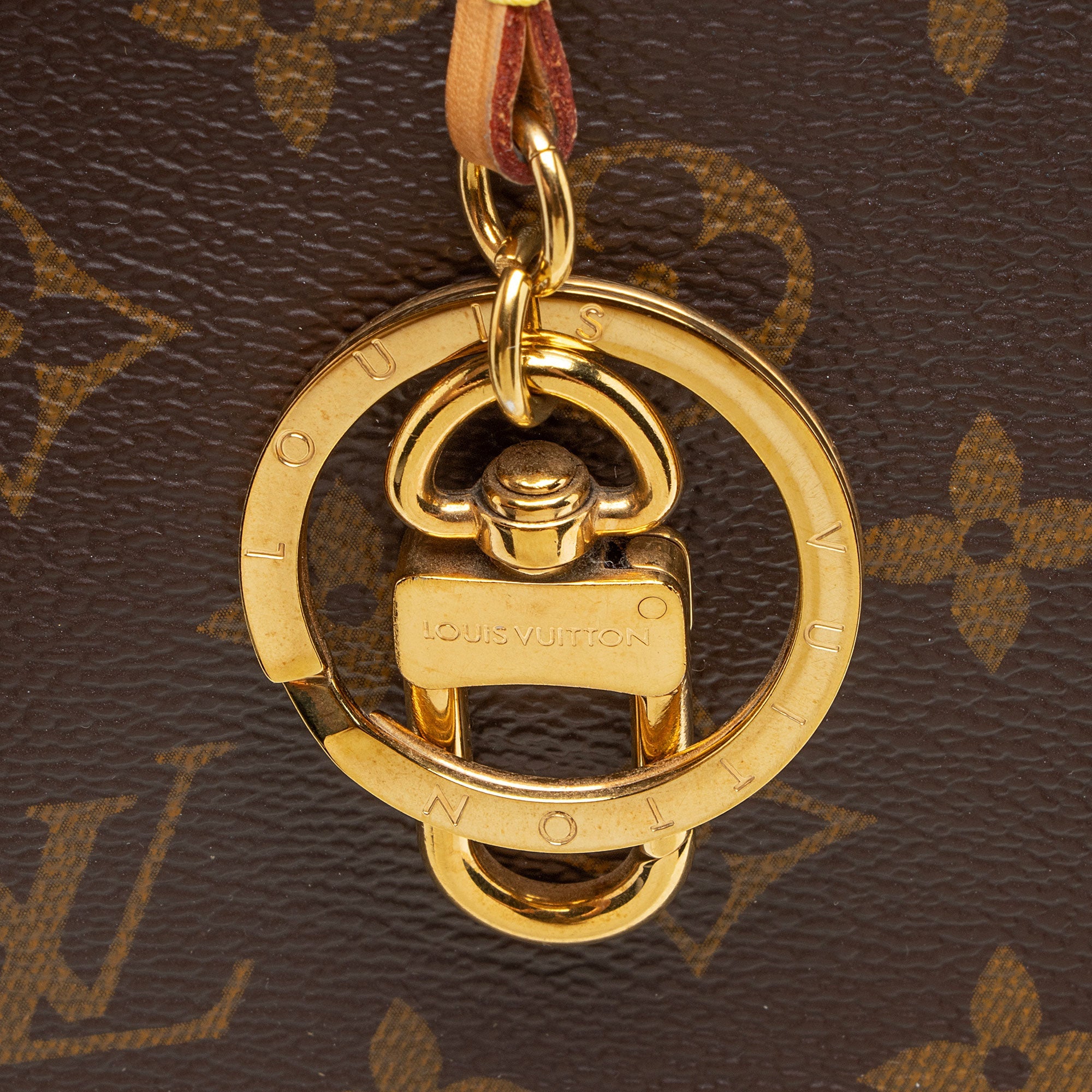Louis Vuitton Monogram Canvas Delightful MM Shoulder Bag