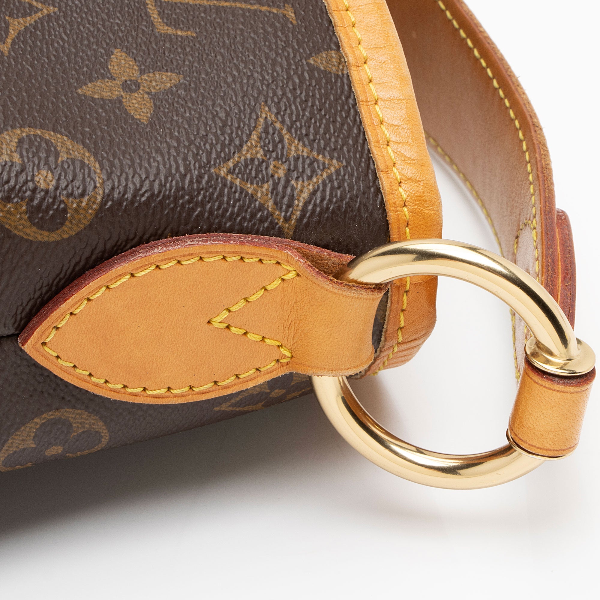 Louis Vuitton Monogram Canvas Delightful MM Shoulder Bag