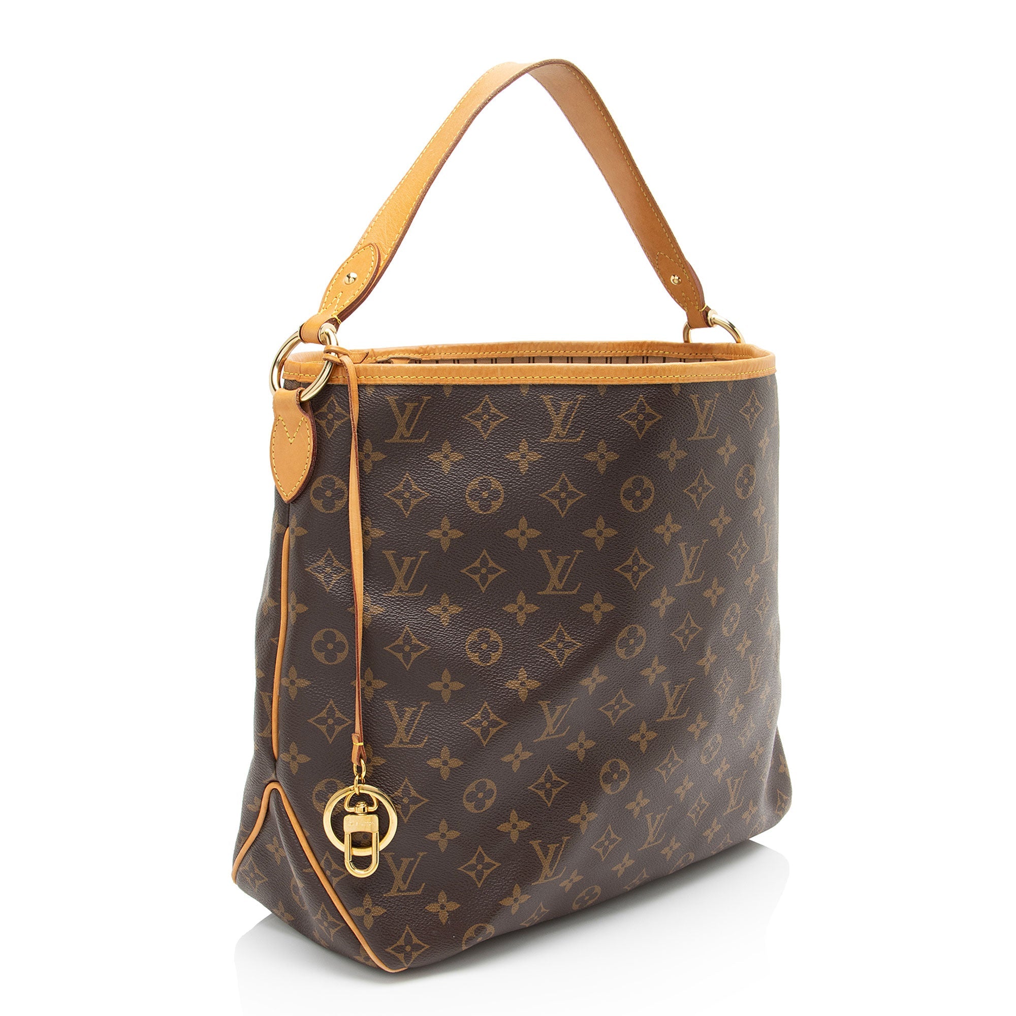 Louis Vuitton Monogram Canvas Delightful MM Shoulder Bag