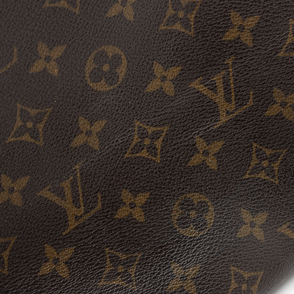 Louis Vuitton Monogram Canvas Delightful MM Shoulder Bag