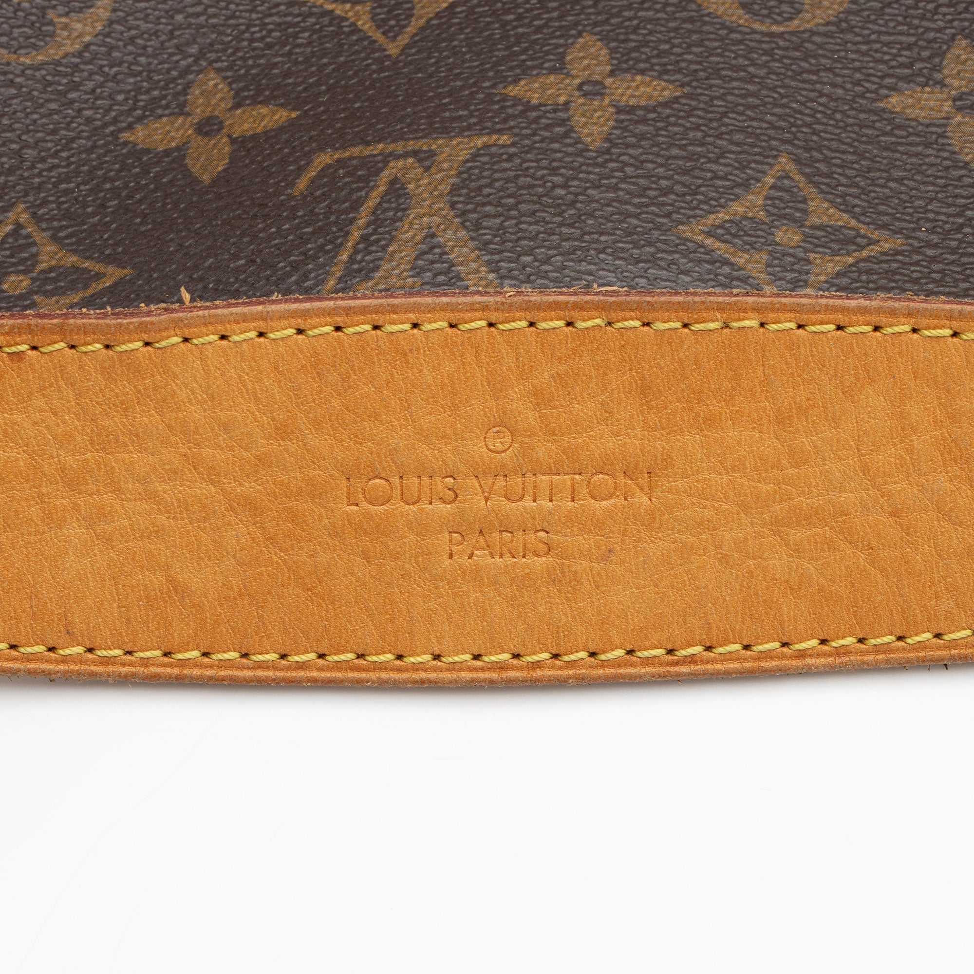 Louis Vuitton Monogram Canvas Delightful PM Shoulder Bag (SHF-ZZzG6J)