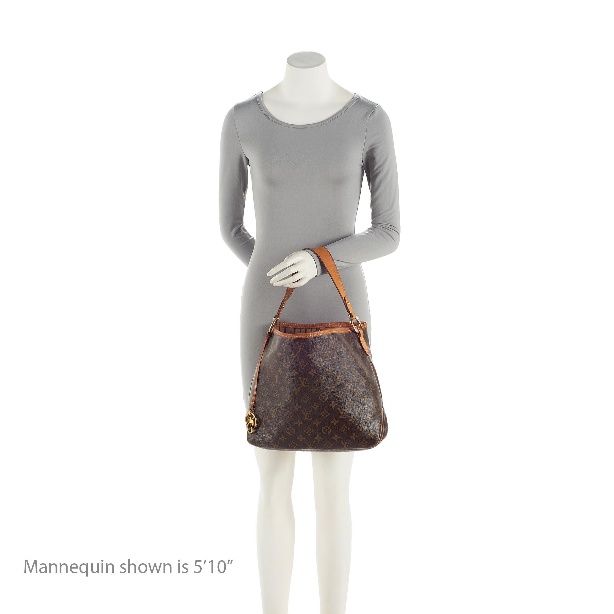Louis Vuitton Monogram Canvas Delightful PM Shoulder Bag (SHF-g7x1MM)