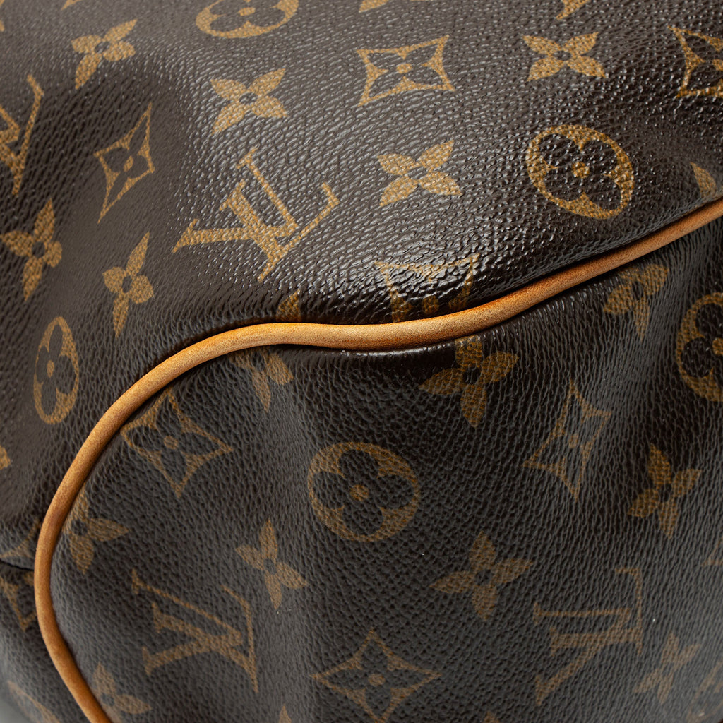 Louis Vuitton Monogram Canvas Delightful PM Shoulder Bag