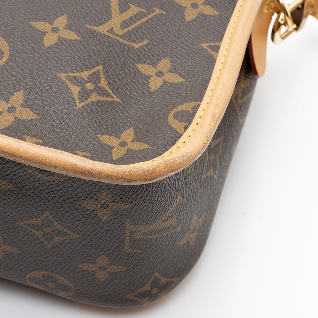 Louis Vuitton Monogram Canvas Diane Shoulder Bag