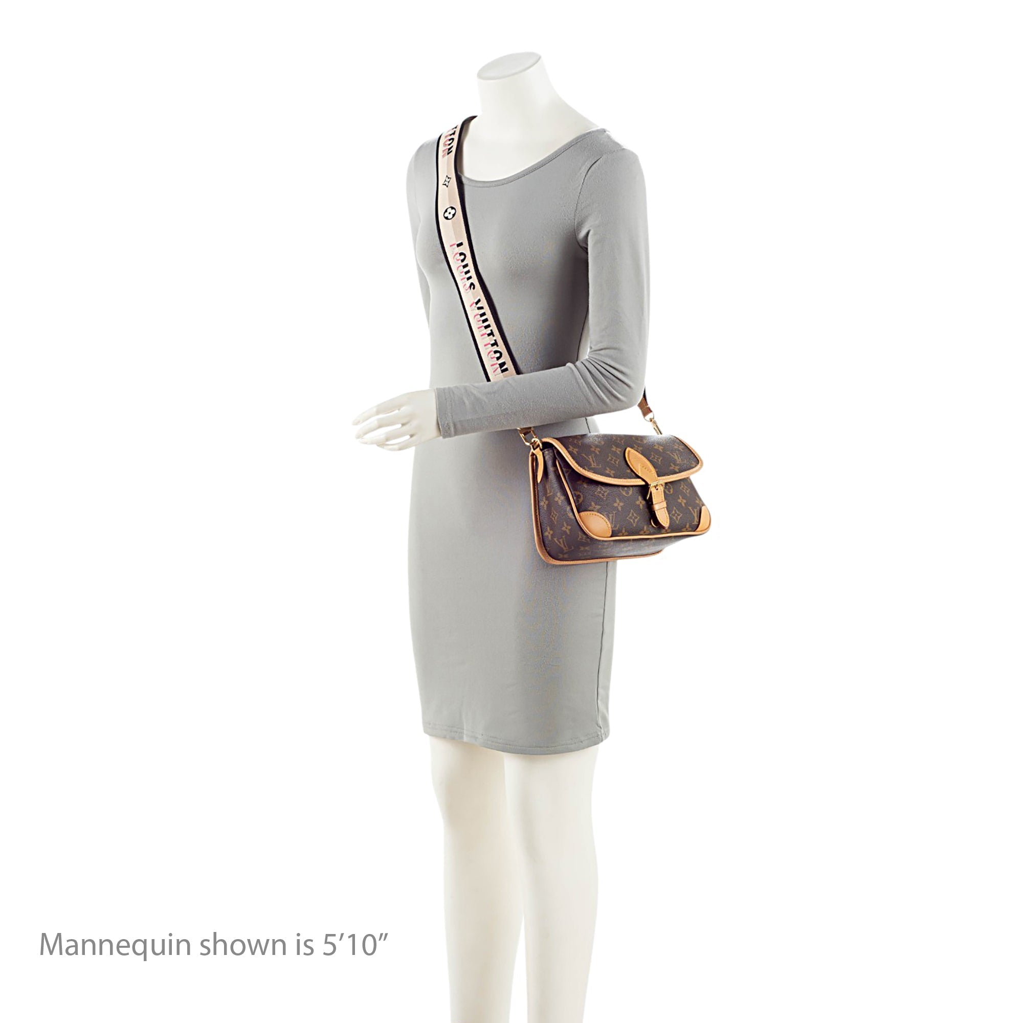 Louis Vuitton Monogram Canvas Diane Shoulder Bag