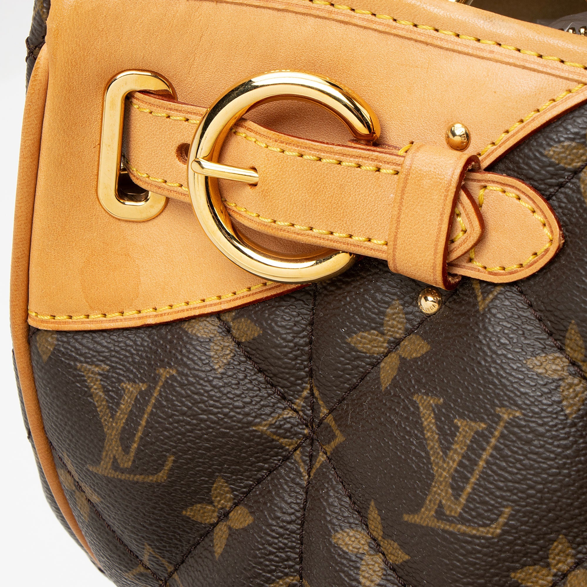 Louis Vuitton Monogram Canvas Etoile Shopper Tote