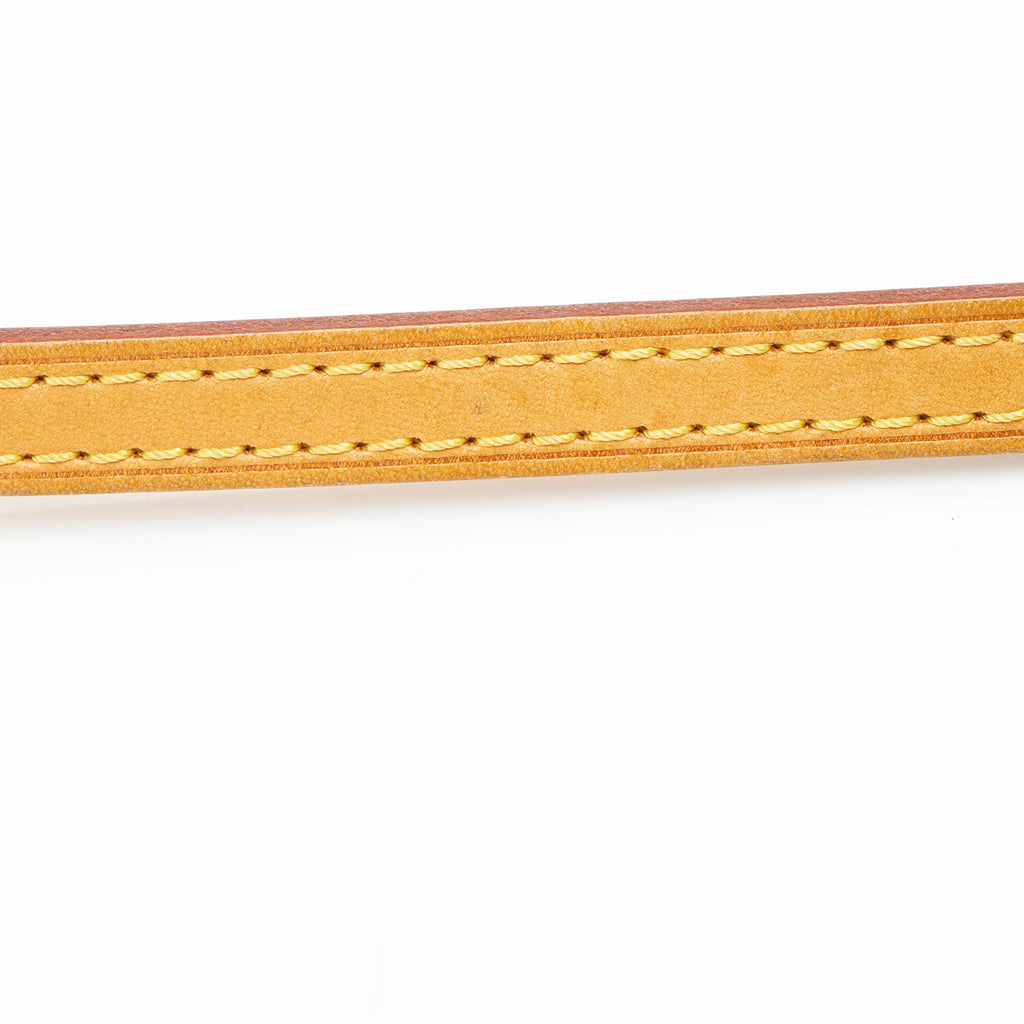 Louis Vuitton Monogram Canvas Eva Clutch