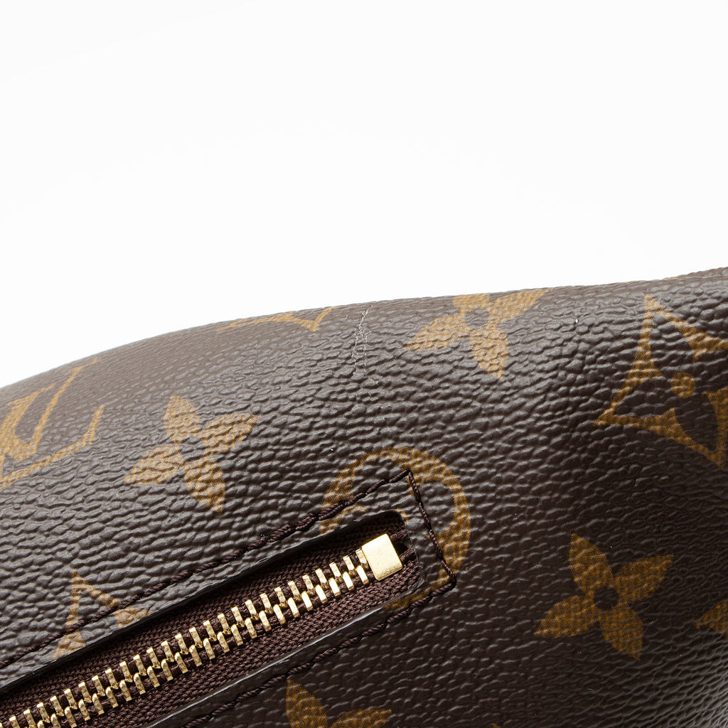Louis Vuitton Monogram Canvas High Rise Bumbag