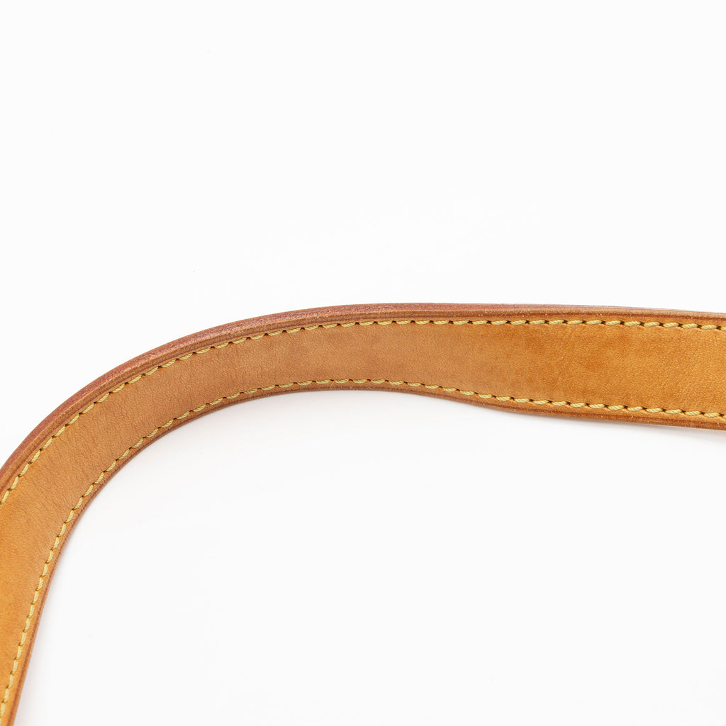 Louis Vuitton Monogram Canvas Hudson GM Shoulder Bag