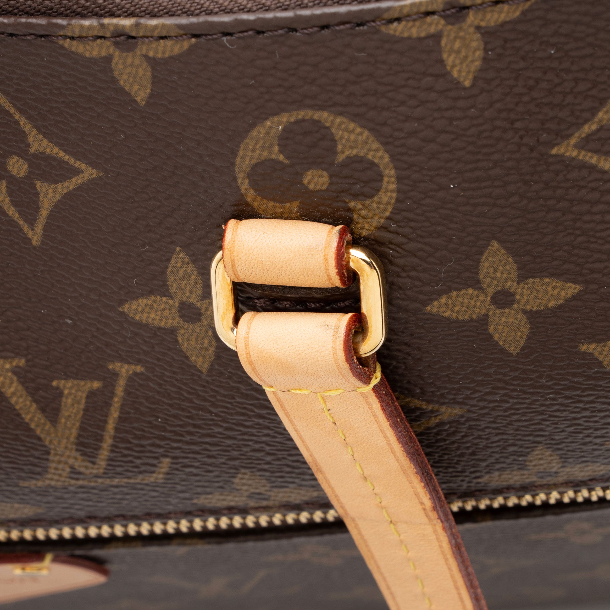 Louis Vuitton Monogram Canvas Iena MM Tote