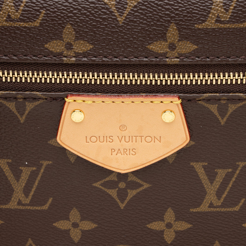 Louis Vuitton Monogram Canvas Iena MM Tote