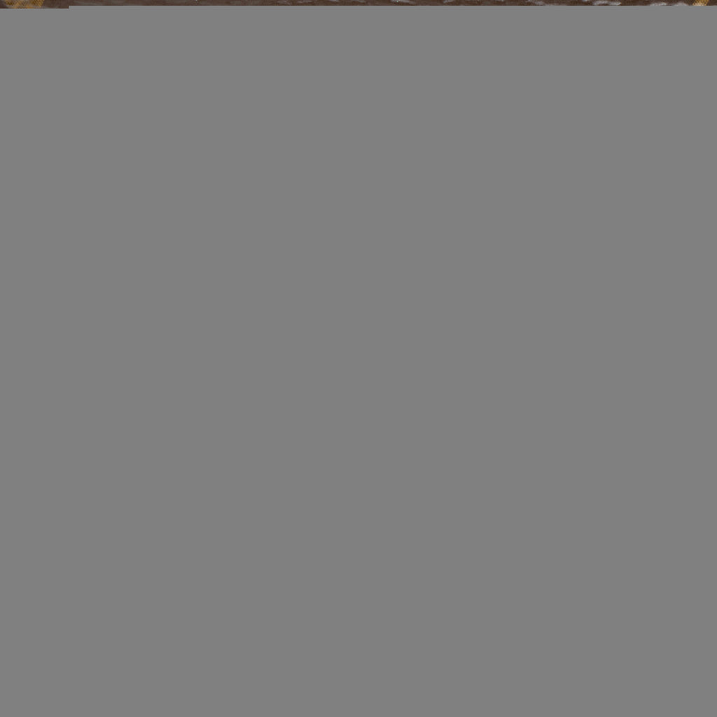Louis Vuitton Monogram Canvas Loop Shoulder Bag