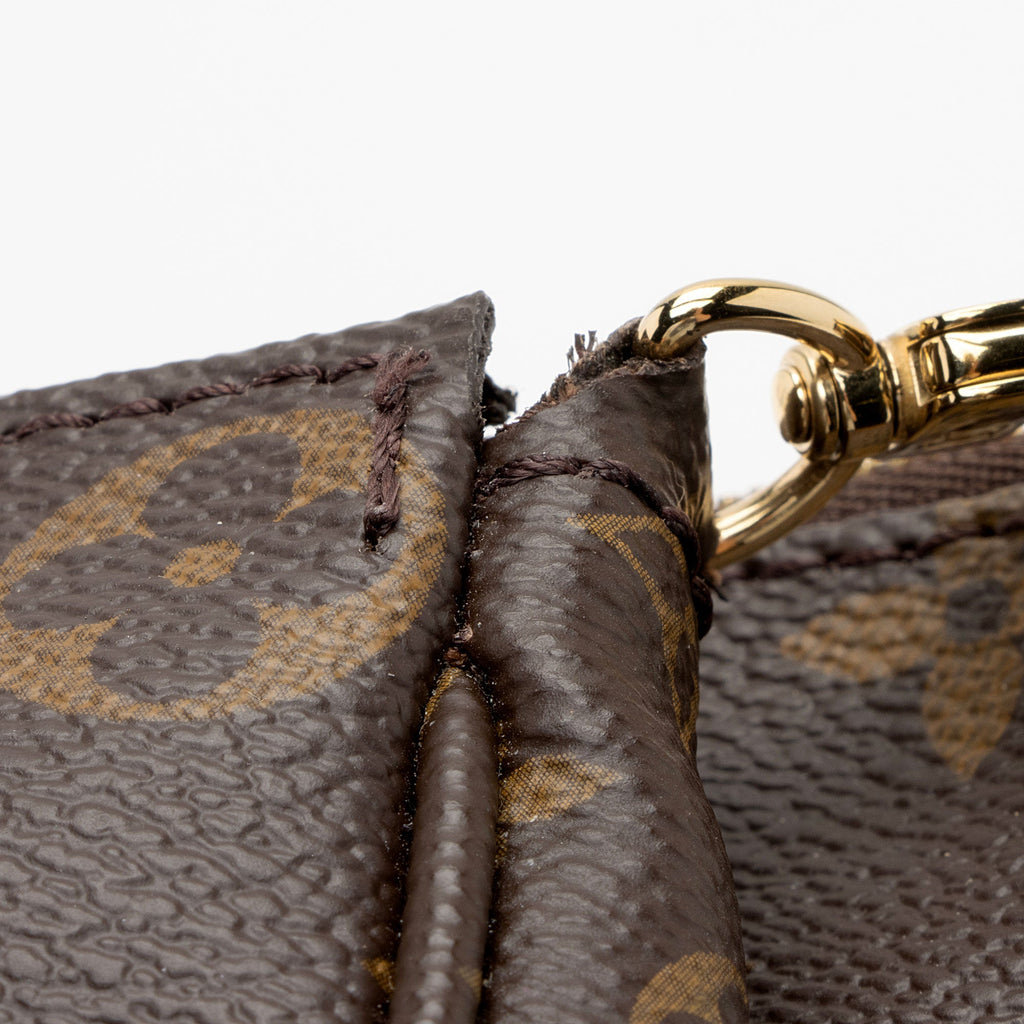 Louis Vuitton Monogram Canvas Multi-Pochette Accessoires (SHF-vSFJfd)