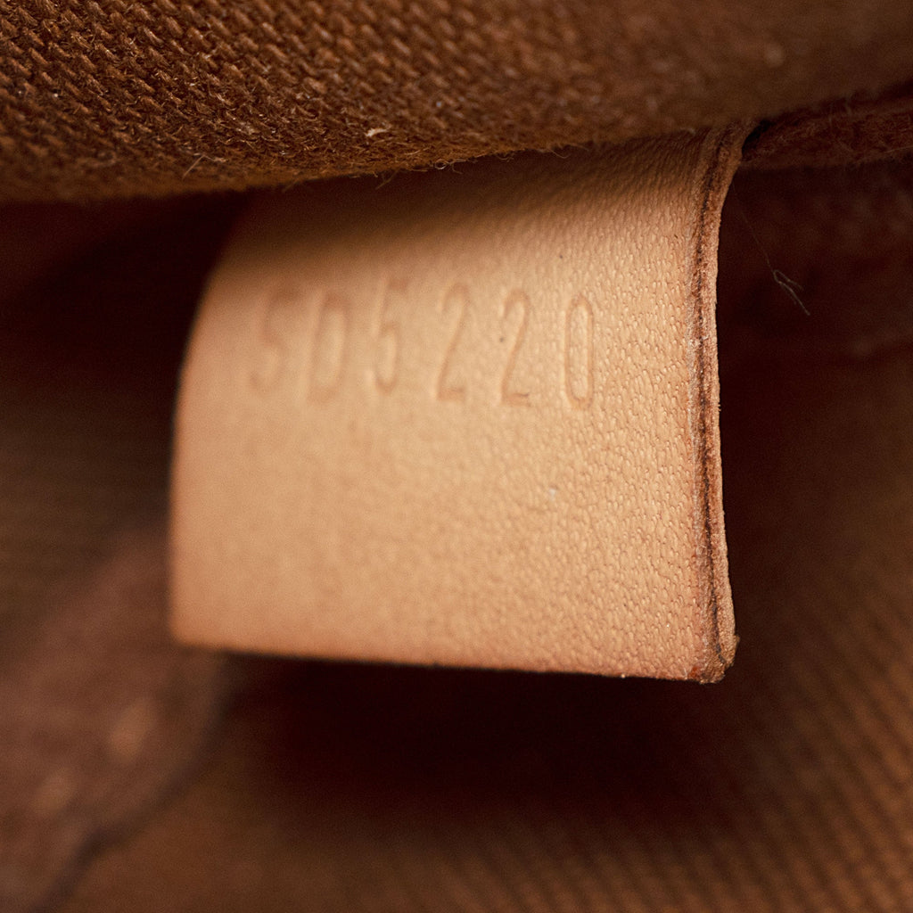 Louis Vuitton Monogram Canvas Multi-Pochette Accessoires