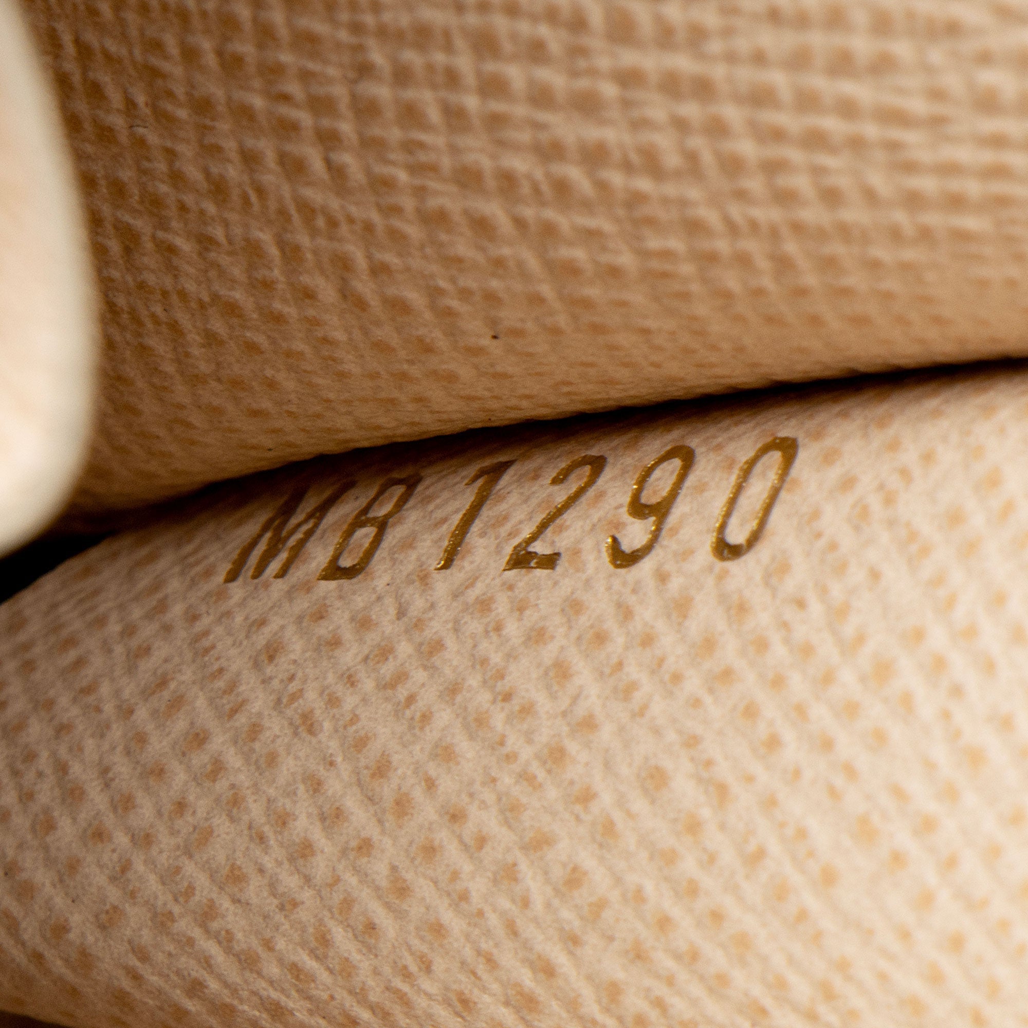 Louis Vuitton Monogram Canvas Multi-Pochette Accessoires