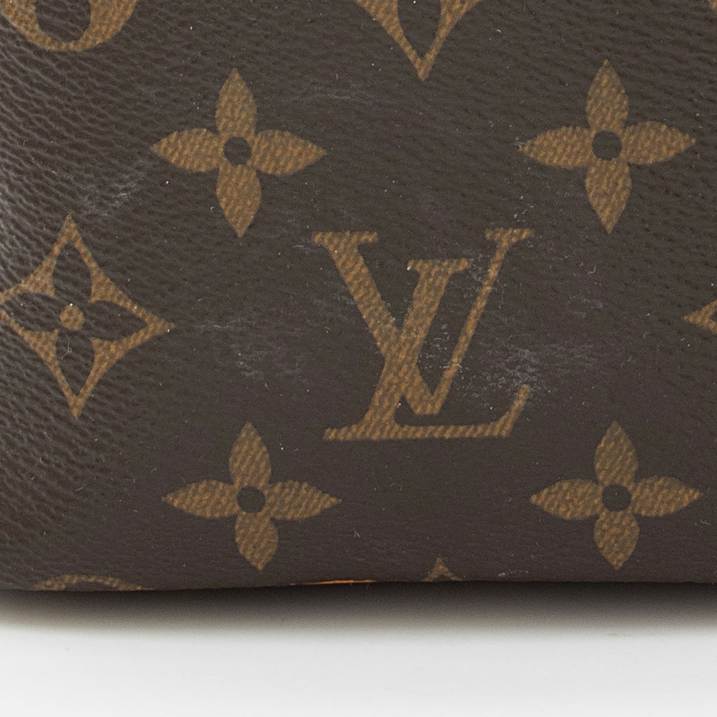Louis Vuitton Monogram Canvas Nano Noe Shoulder Bag