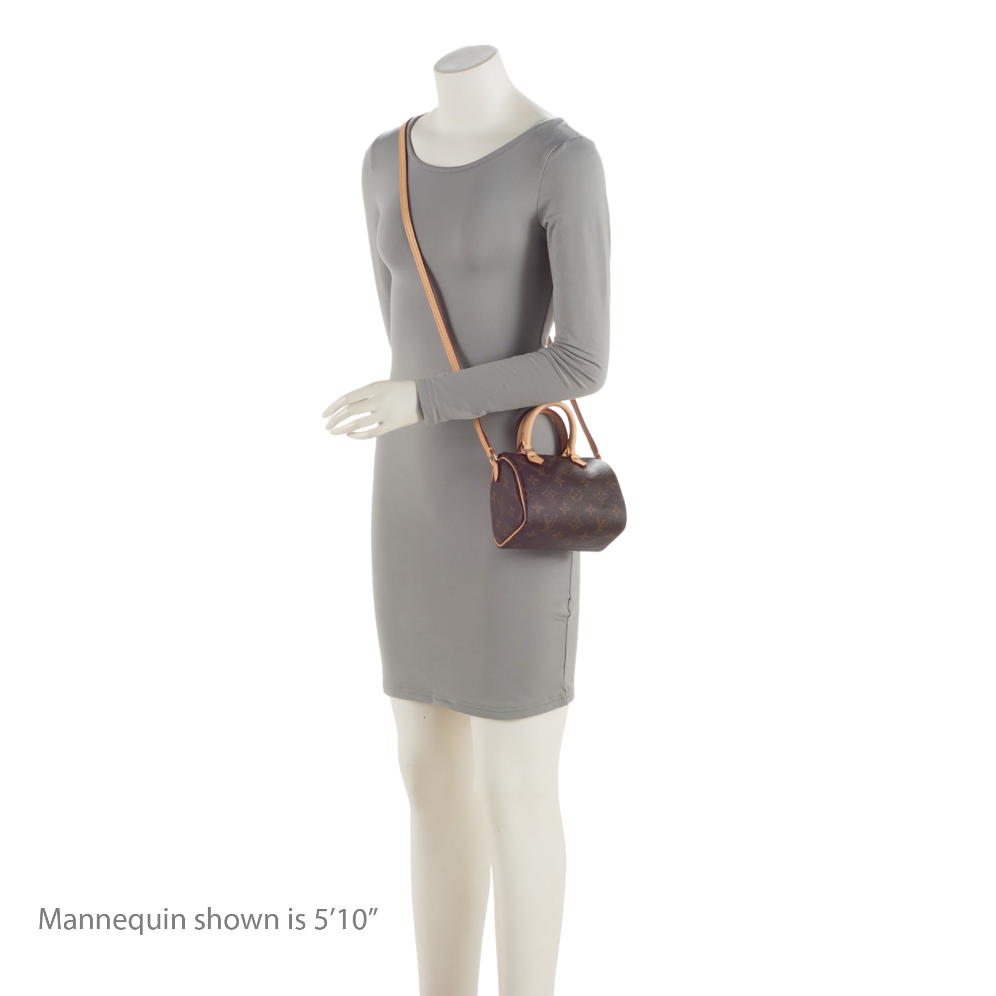 Louis Vuitton Monogram Canvas Nano Speedy Satchel