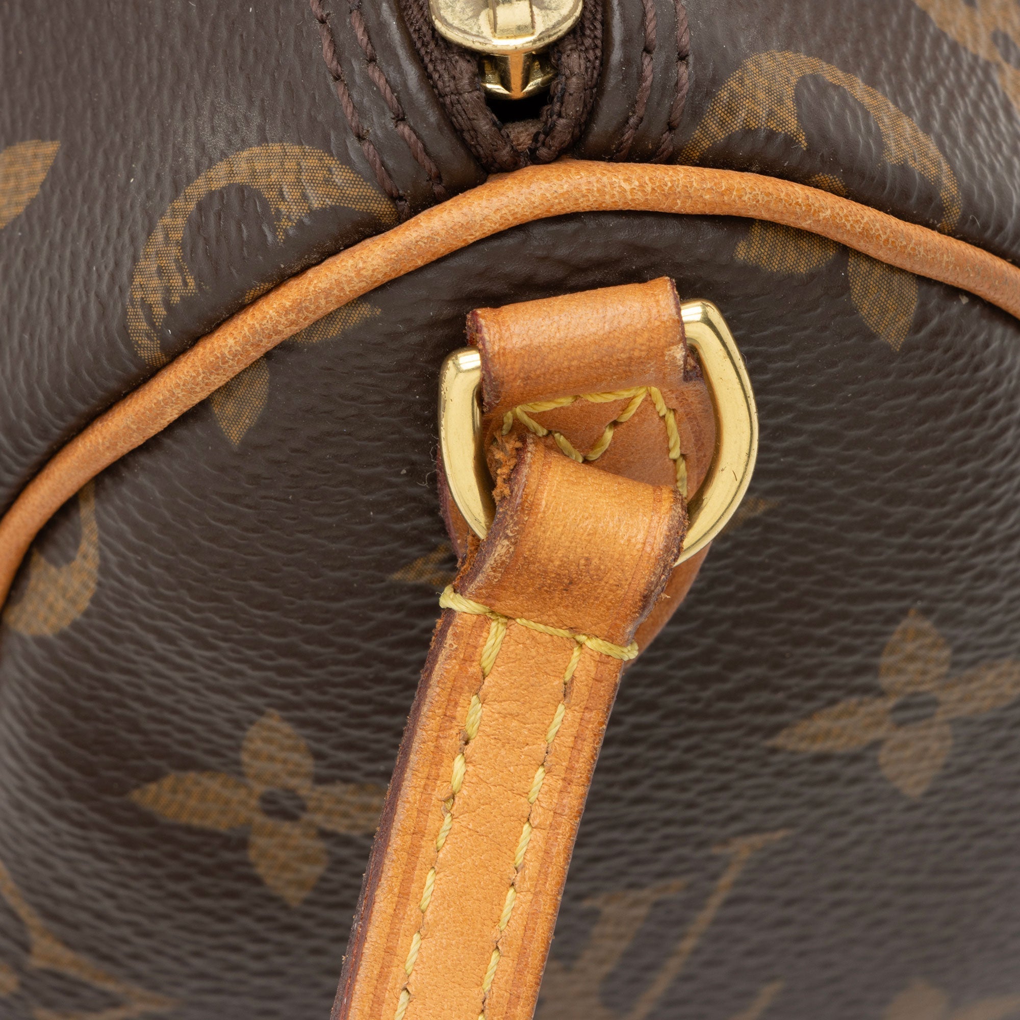 Louis Vuitton Monogram Canvas Nano Speedy Satchel