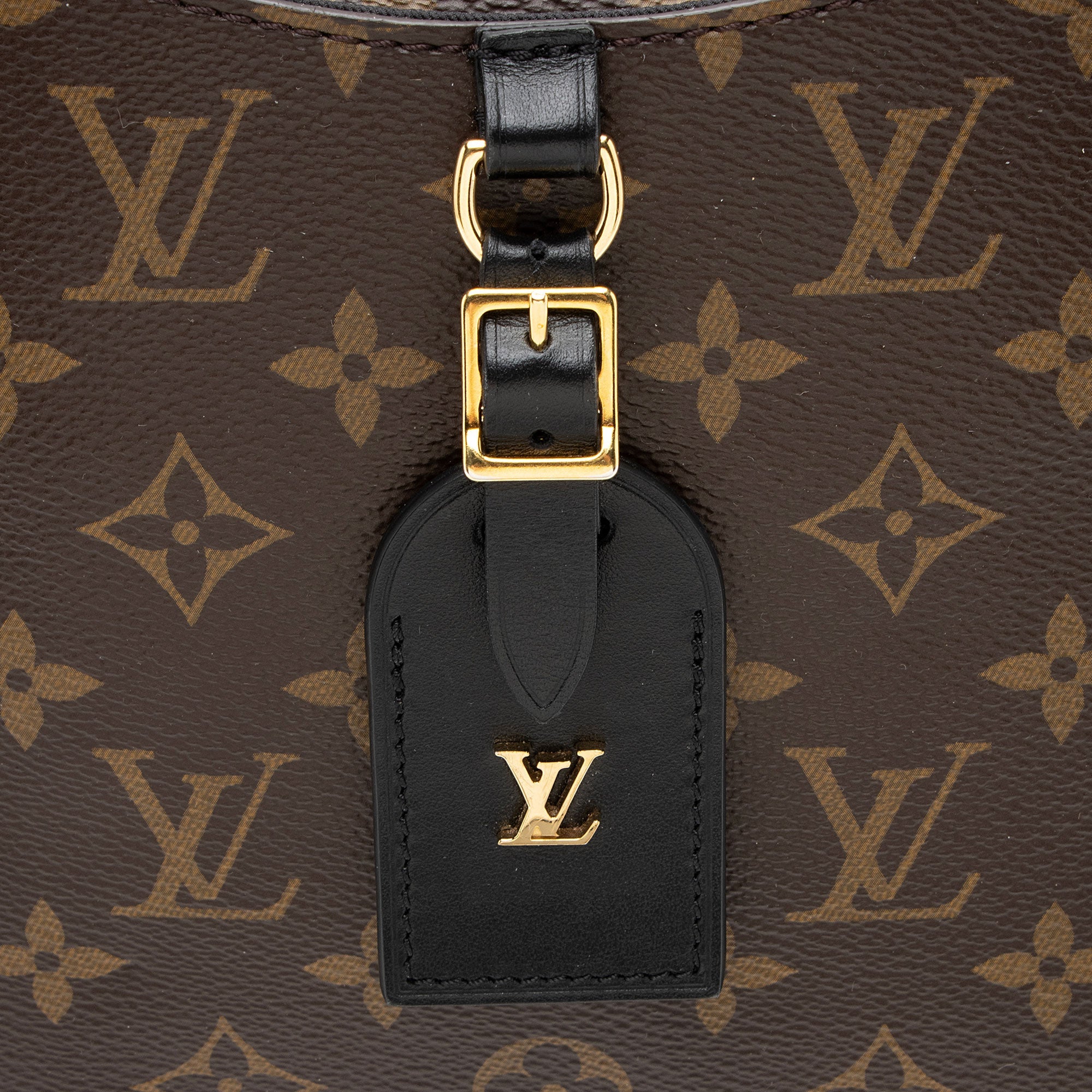 Louis Vuitton Monogram Canvas Odeon MM NM Shoulder Bag