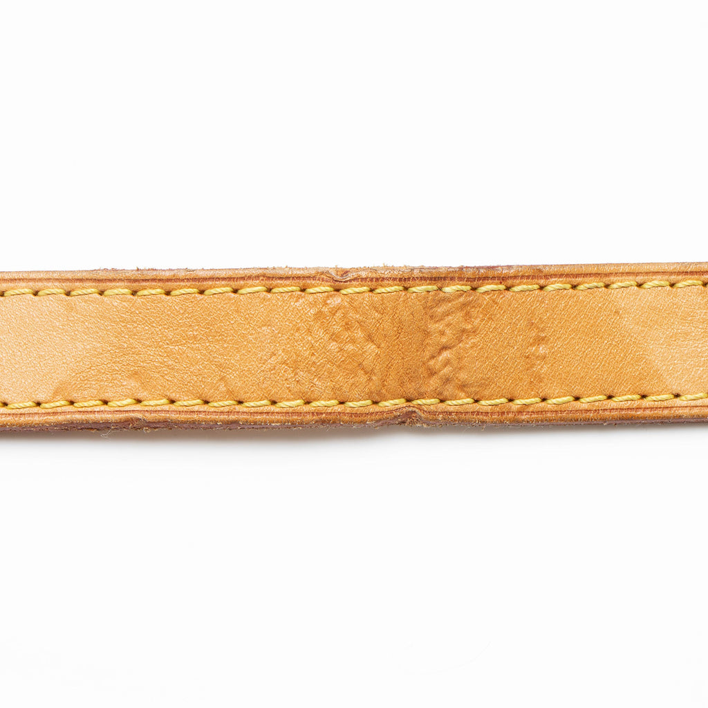 Louis Vuitton Monogram Canvas Odeon MM Shoulder Bag