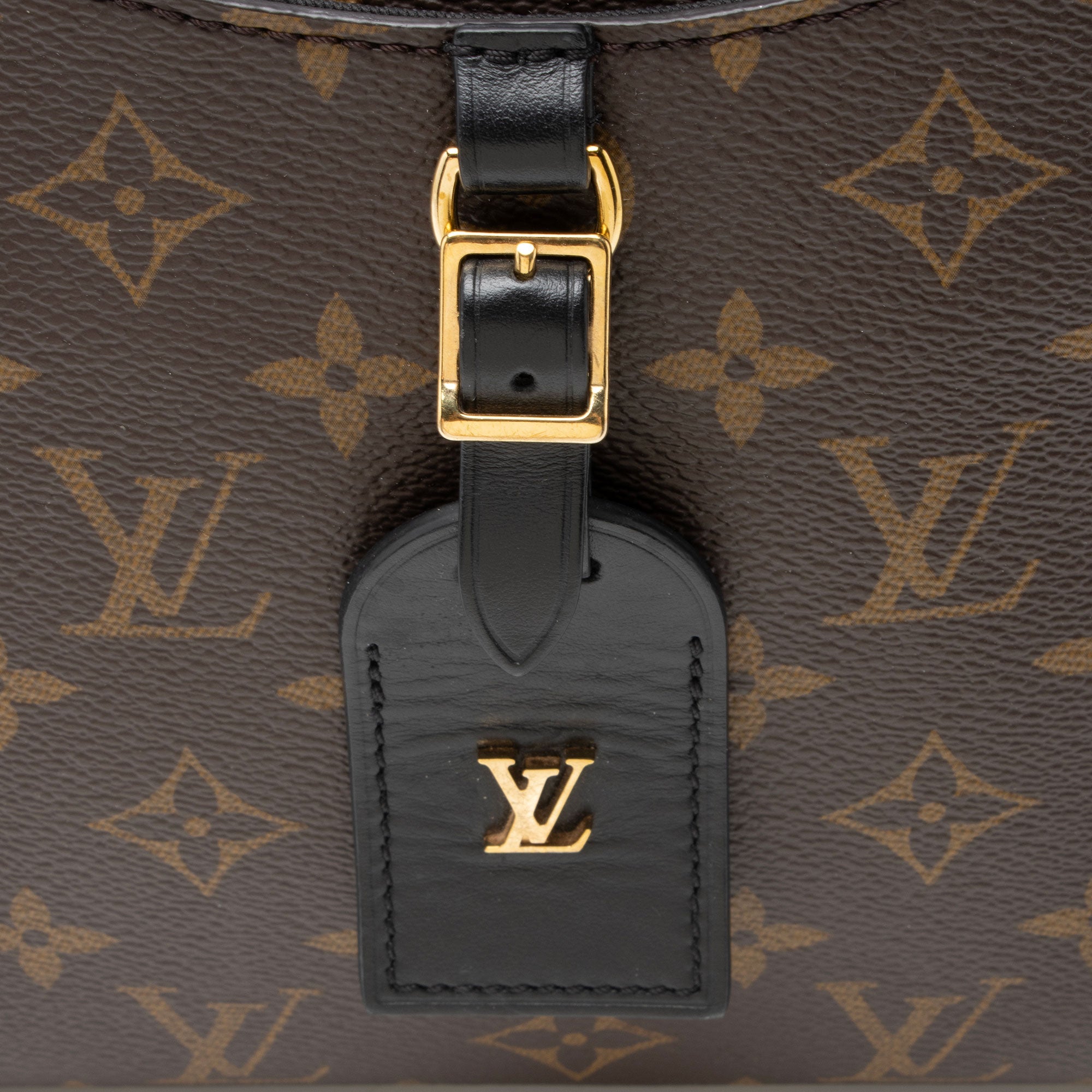 Louis Vuitton Monogram Canvas Odeon PM NM Shoulder Bag