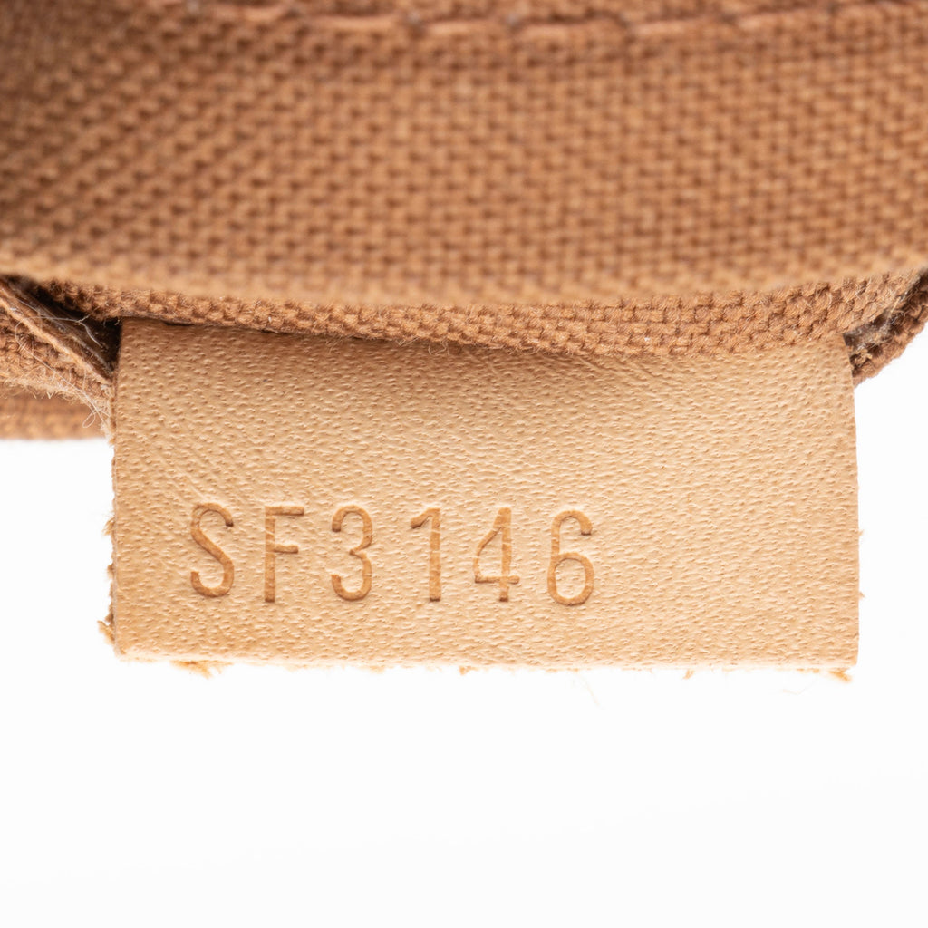 Louis Vuitton Monogram Canvas Odeon PM Shoulder Bag