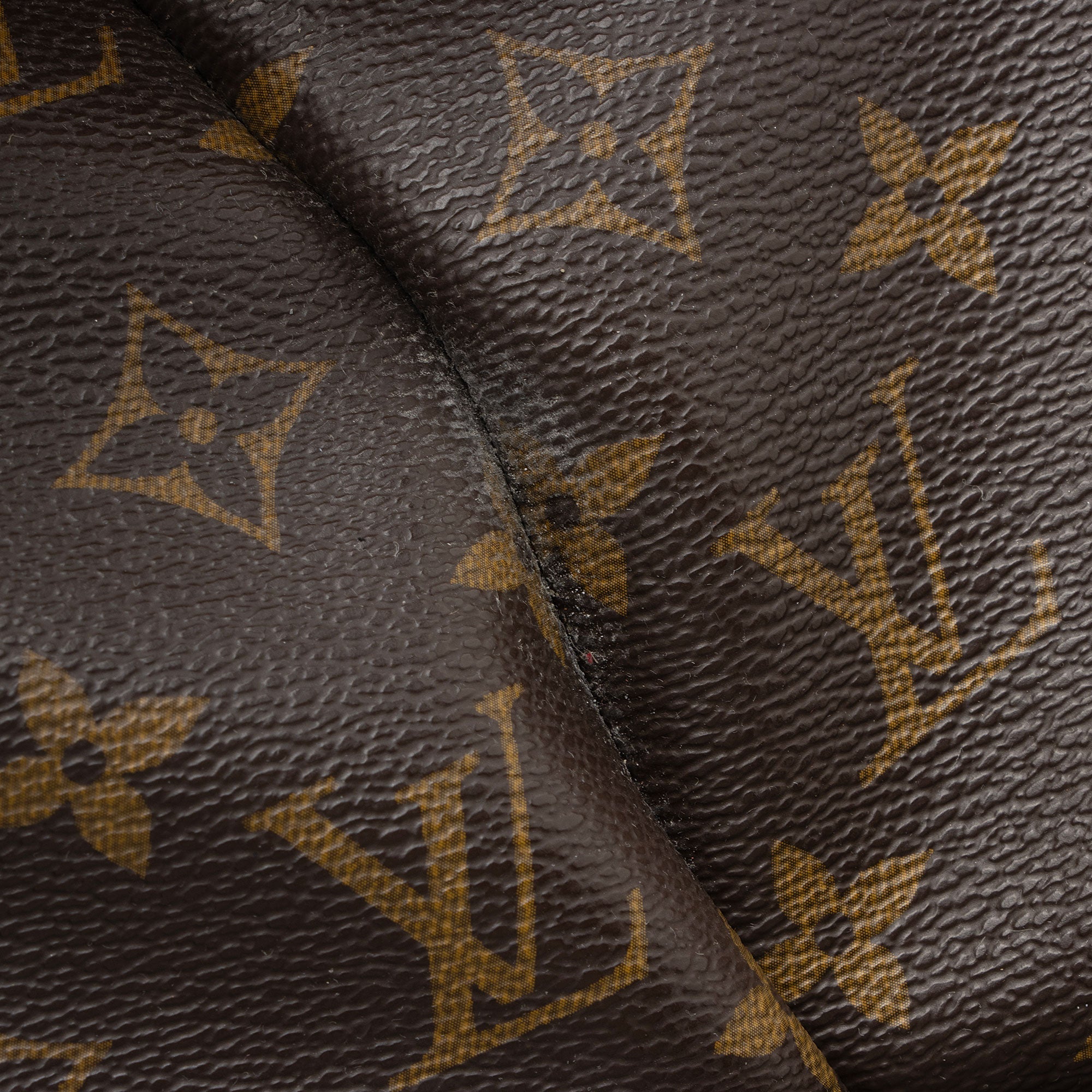 Louis Vuitton Monogram Canvas Olympe Bag - FINAL SALE