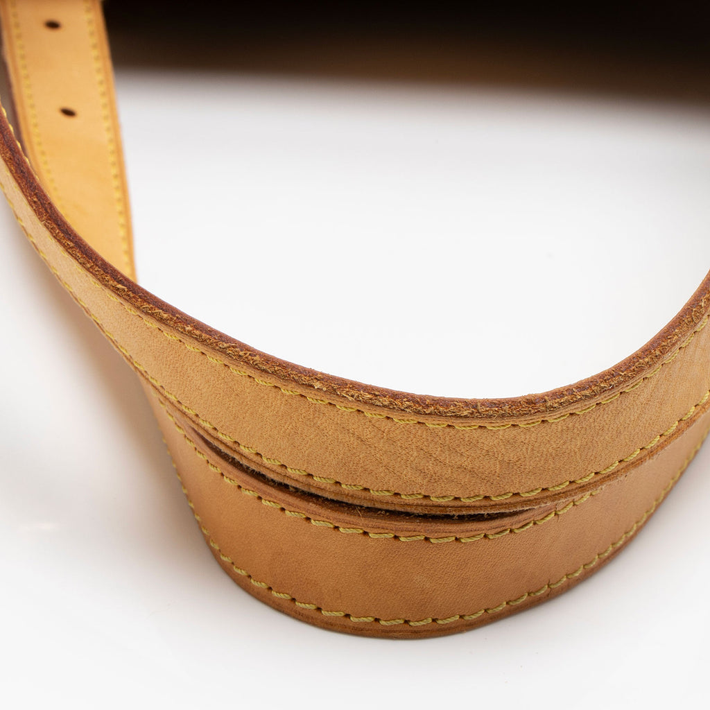 Louis Vuitton Monogram Canvas Palermo GM Tote