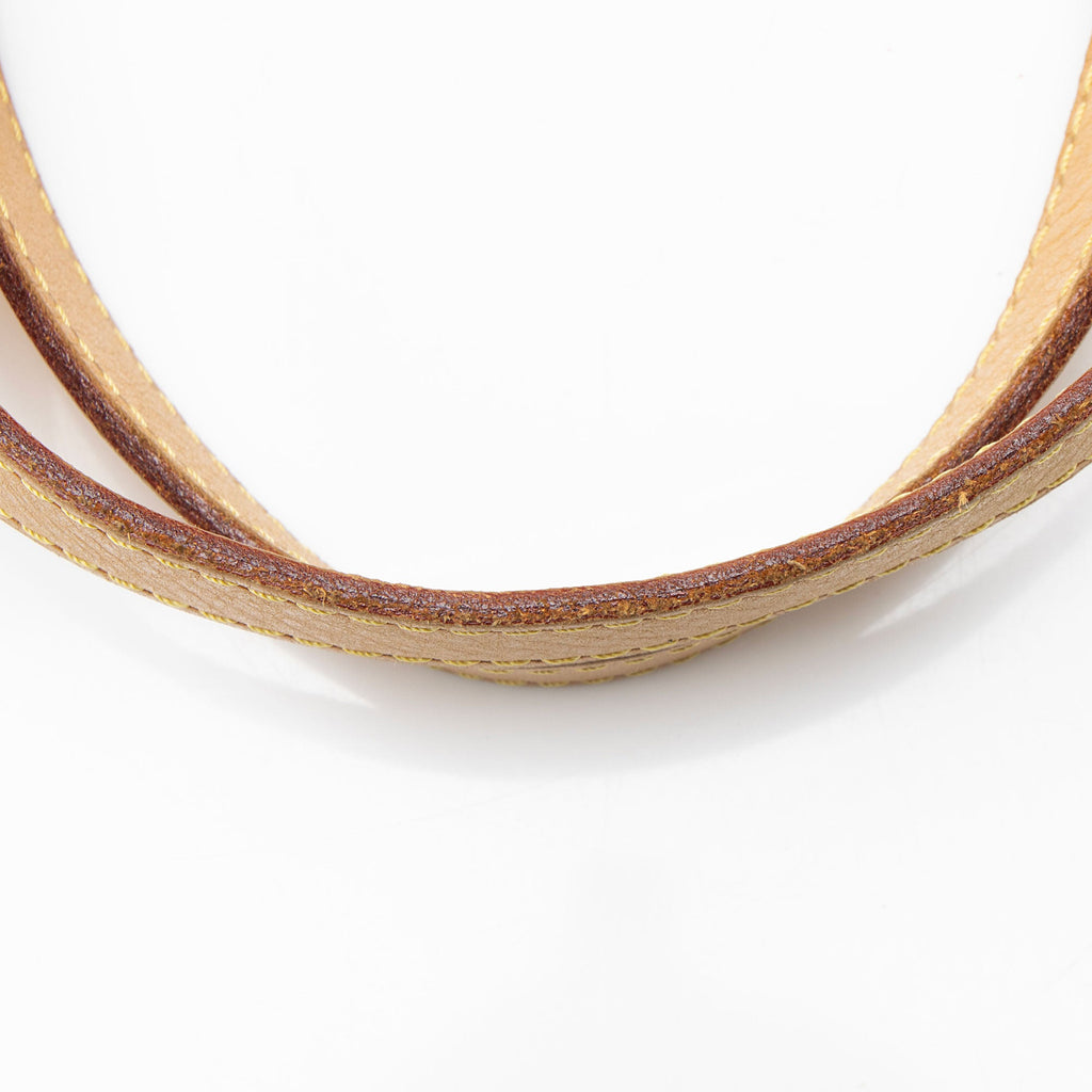 Louis Vuitton Monogram Canvas Palermo GM Tote