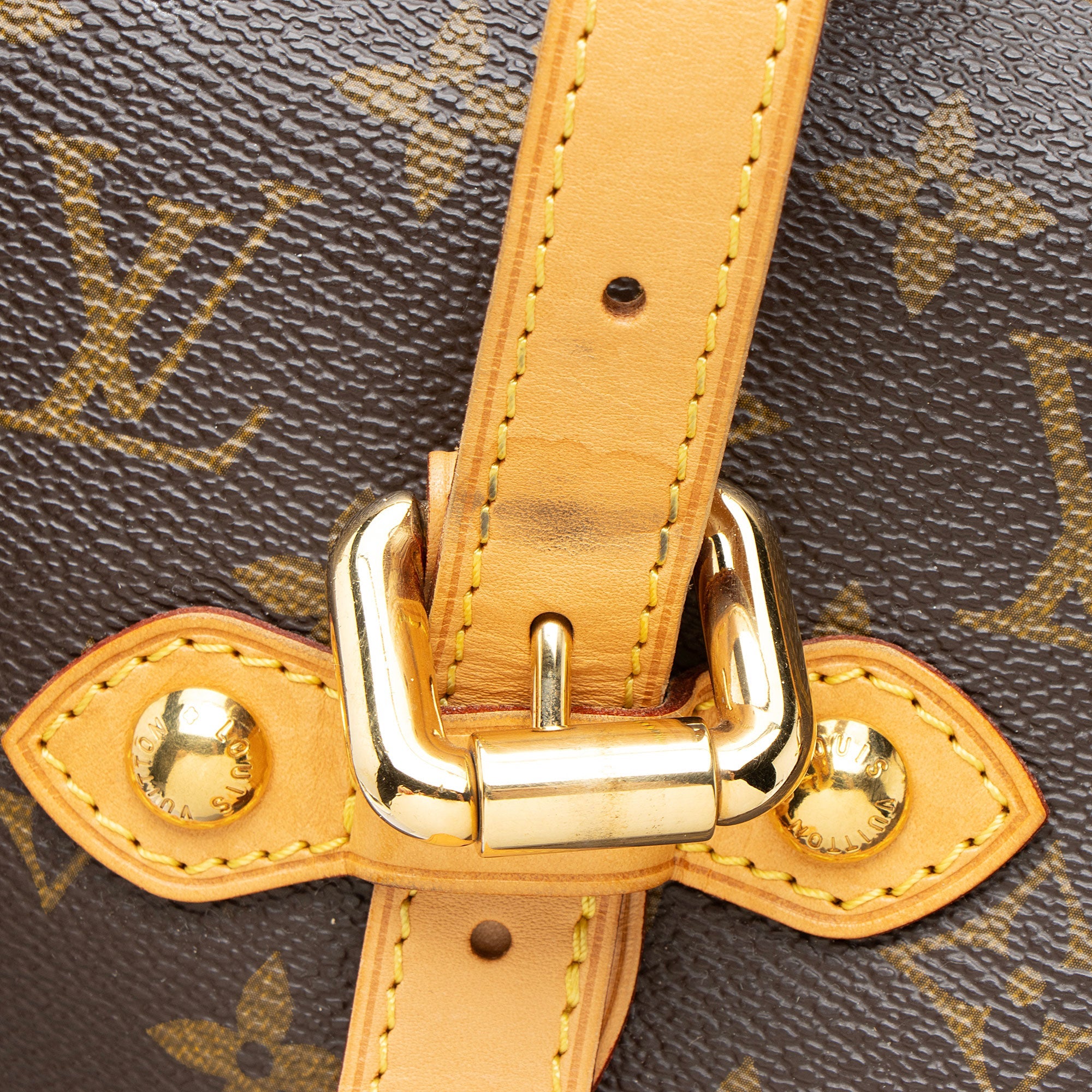 Louis Vuitton Monogram Canvas Palermo GM Tote