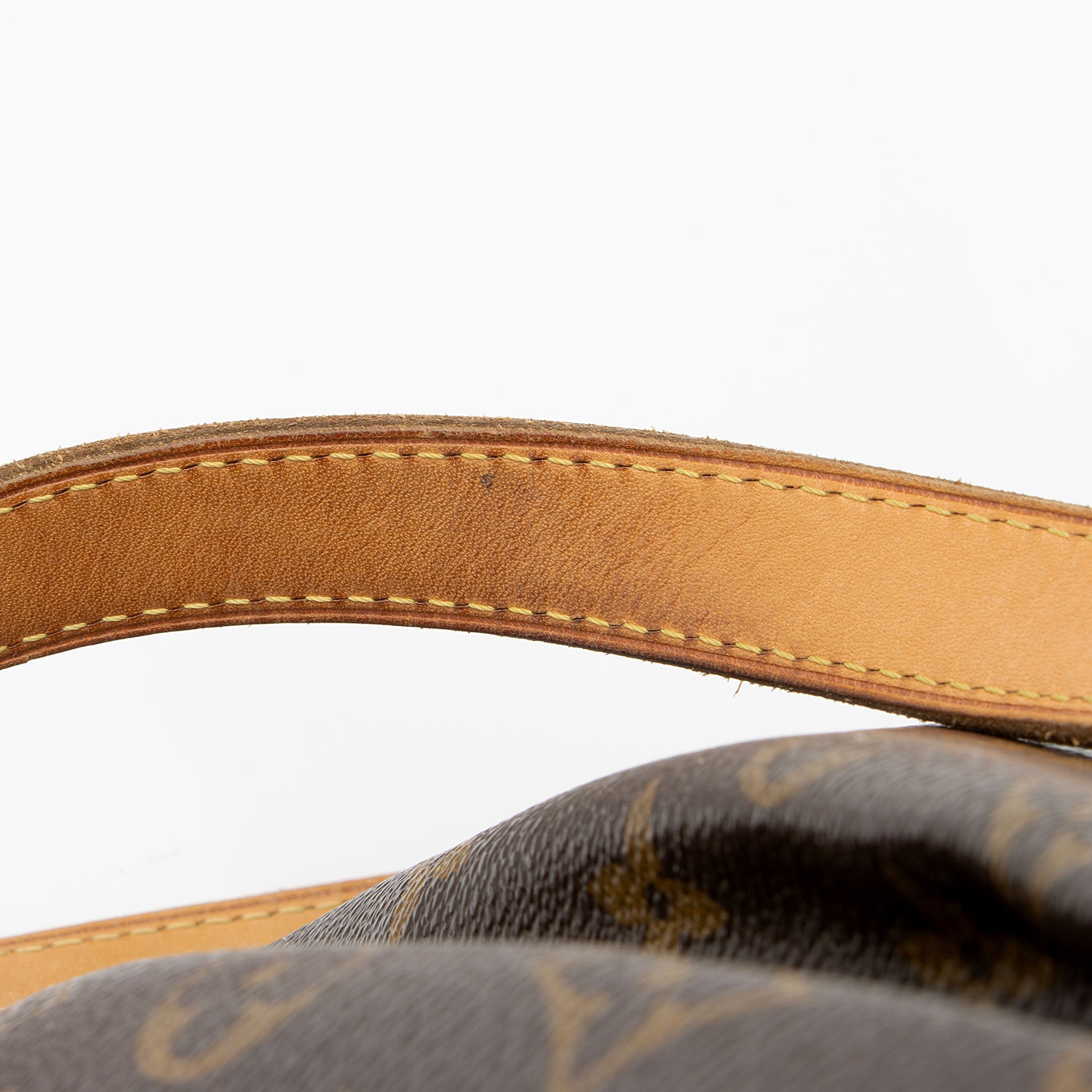 Louis Vuitton Monogram Canvas Palermo PM Tote (SHF-YxfNSb)