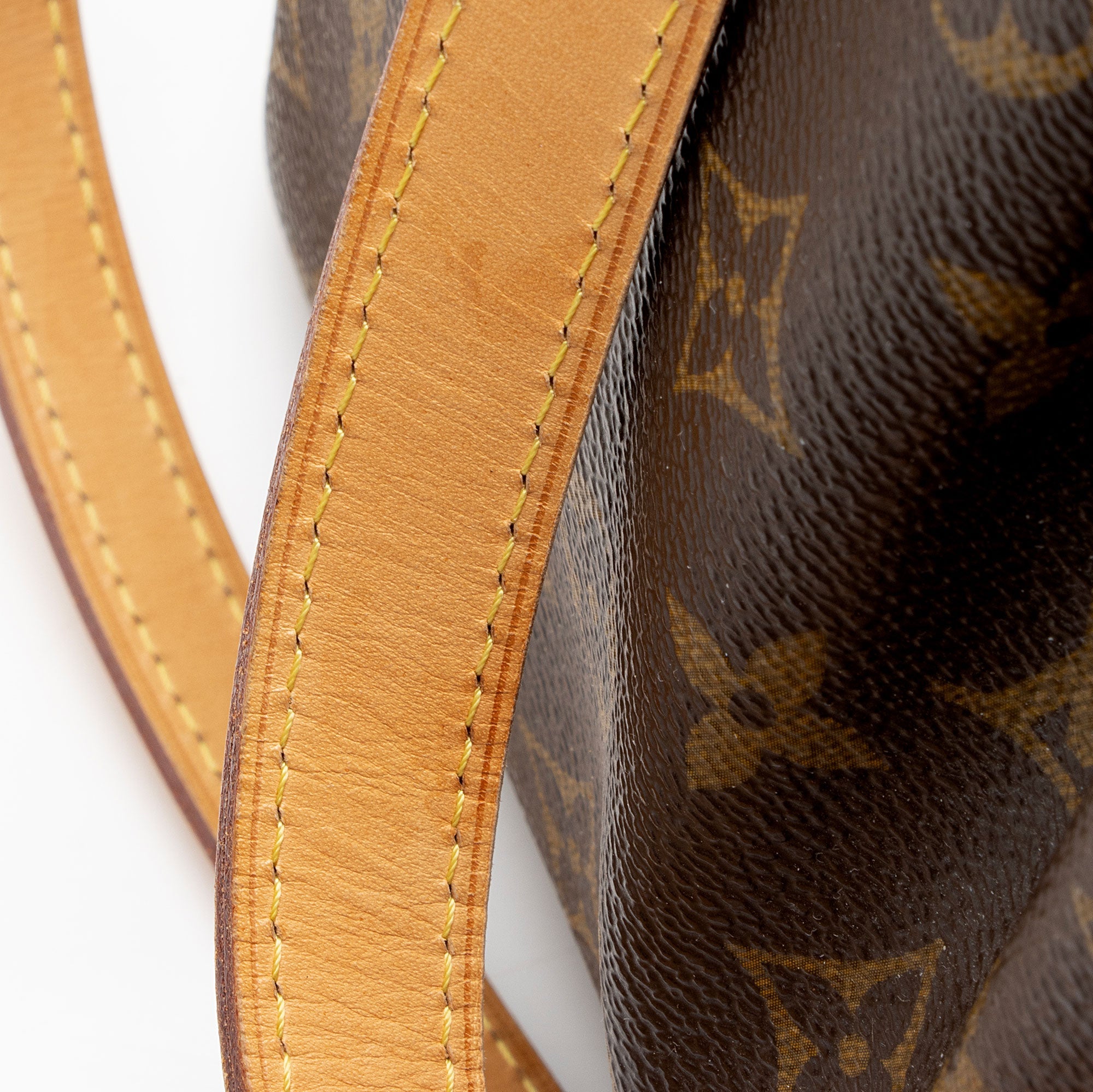 Louis Vuitton Monogram Canvas Palermo PM Tote